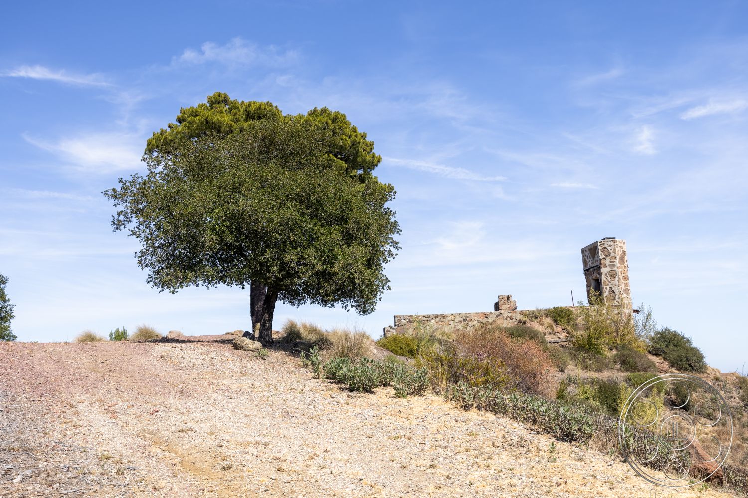 Eagle Feather - exterior, landscaped hillside, natural stone wall, gravel driveway, open sky, desert vegetation, mature oak tree, boulder retaining wall