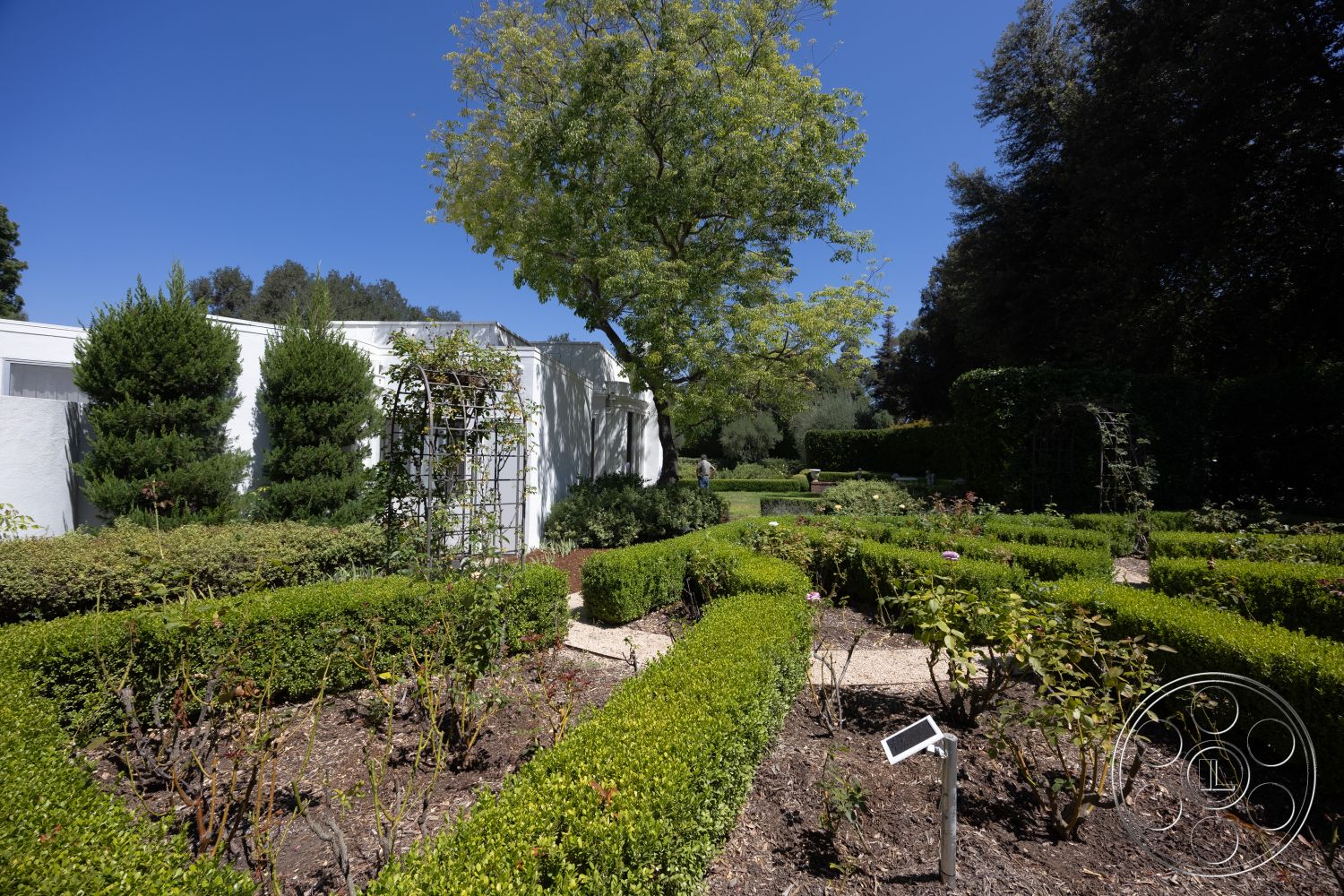 Retro 295 - exterior, white stucco walls, mature trees, manicured lawn, boxwood hedges, rose bushes, garden seating area, focal point tree, hedge borders, landscaped garden design, brick garden pathways, symmetrical flower beds, metal trellis, gravel mulch, full sun garden setting
