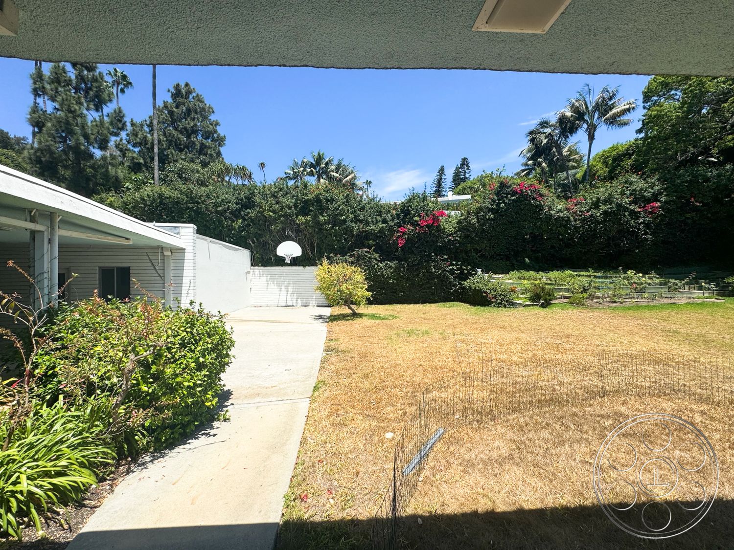 MCM 28 - exterior, white stucco walls, low-maintenance landscaping, flowering bushes, single-story home, basketball hoop, concrete driveway, tropical palm trees, patio space, wood fence, landscaped garden beds, flat lawn area