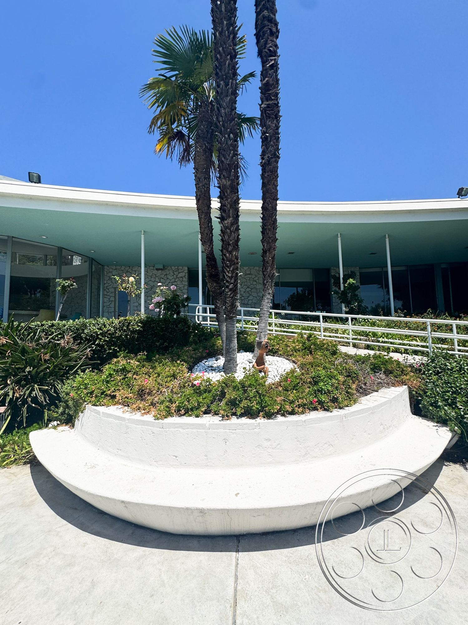 MCM 28 - exterior, landscaped garden, palm trees, floor-to-ceiling windows, modern architectural style, curved concrete planter, white gravel, sloped entryway, concrete porch