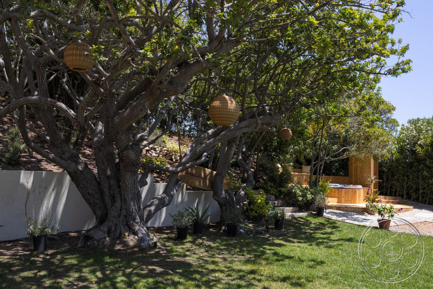 Americana 434 - exterior, natural landscaping, pebble stone ground, grassy lawn area, concrete garden wall, flowering plants in terracotta pots, hanging wicker lanterns, mature trees with textured bark, stone pathway leading to seating area, wooden deck surrounding hot tub, wooden seating structure