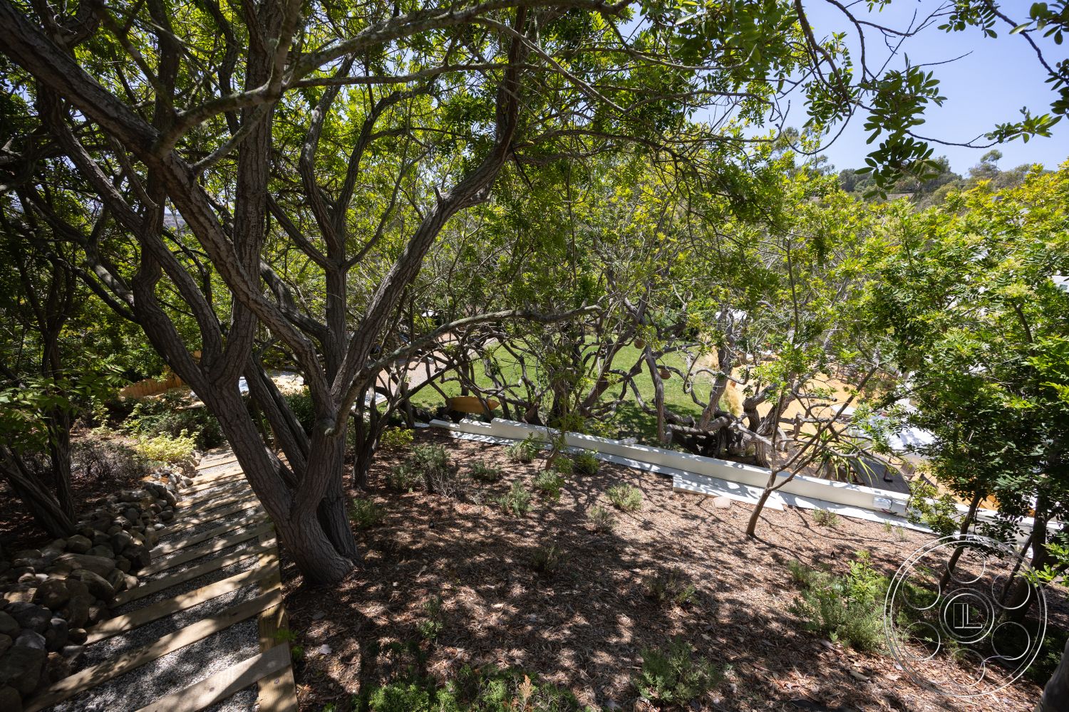 Americana 434 - exterior, mature trees, gravel ground cover, landscaped garden area, lush green foliage, urban hillside setting, natural stone borders, wooden stepping stone path