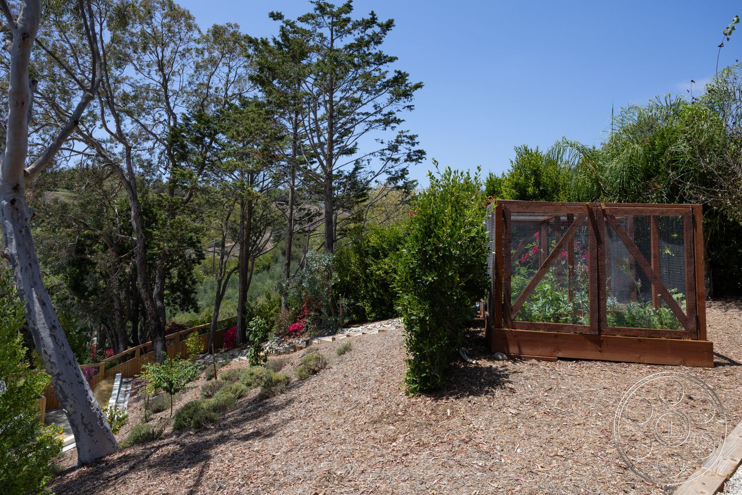 Americana 434 - exterior, natural landscaping, flowering plants, deciduous trees, hillside location, sunny outdoor setting, native shrubbery, wooden raised garden bed, metal mesh garden enclosure, mulched garden floor