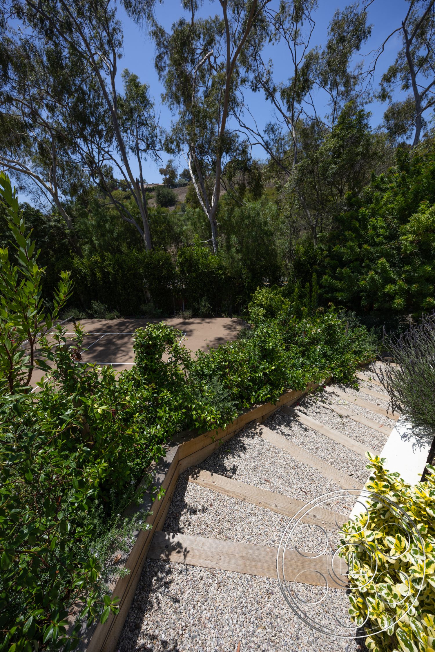 Americana 434 - exterior, wooden staircase, green foliage, gravel pathway, eucalyptus trees, native shrubs, natural outdoor setting, landscaped garden beds