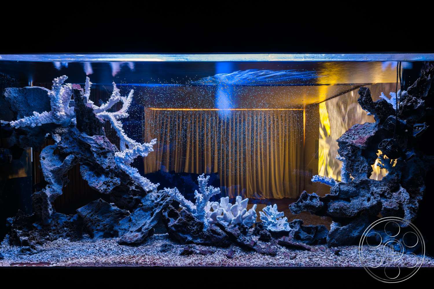Beach 137 - glass aquarium enclosure, rock formations as aquarium decor, artificial coral reef structures, textured gravel aquarium substrate, bubbling water feature, ambient lighting feature, colorful coral-like elements, background curtain drapery, interior aquarium setting