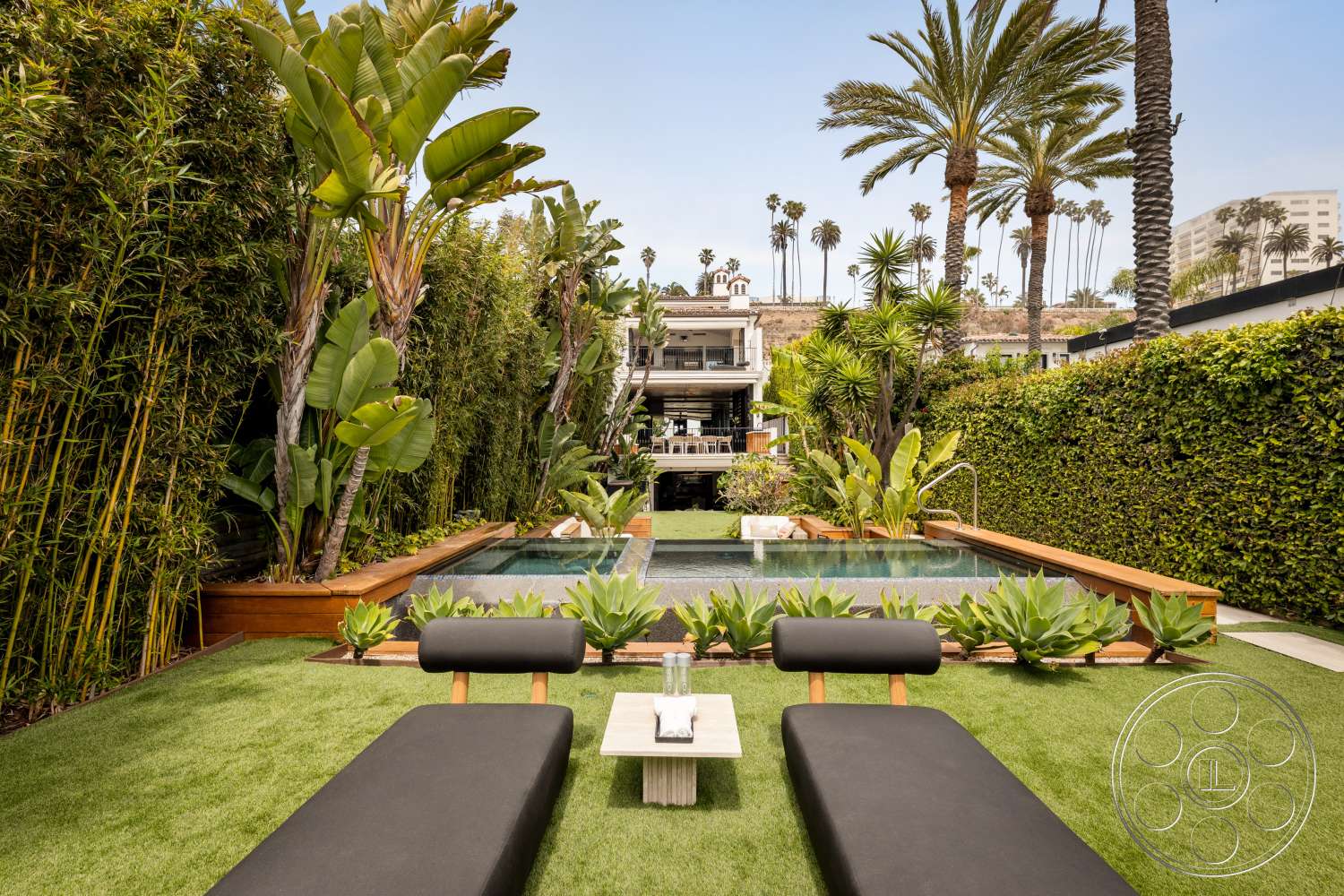 Beach 137 - exterior, outdoor living space, succulent planters, infinity pool, bamboo privacy screen, contemporary house design, tropical landscaping with palm trees, wood deck bordering pool, grass lawn flooring, modern lounging area with black sun loungers