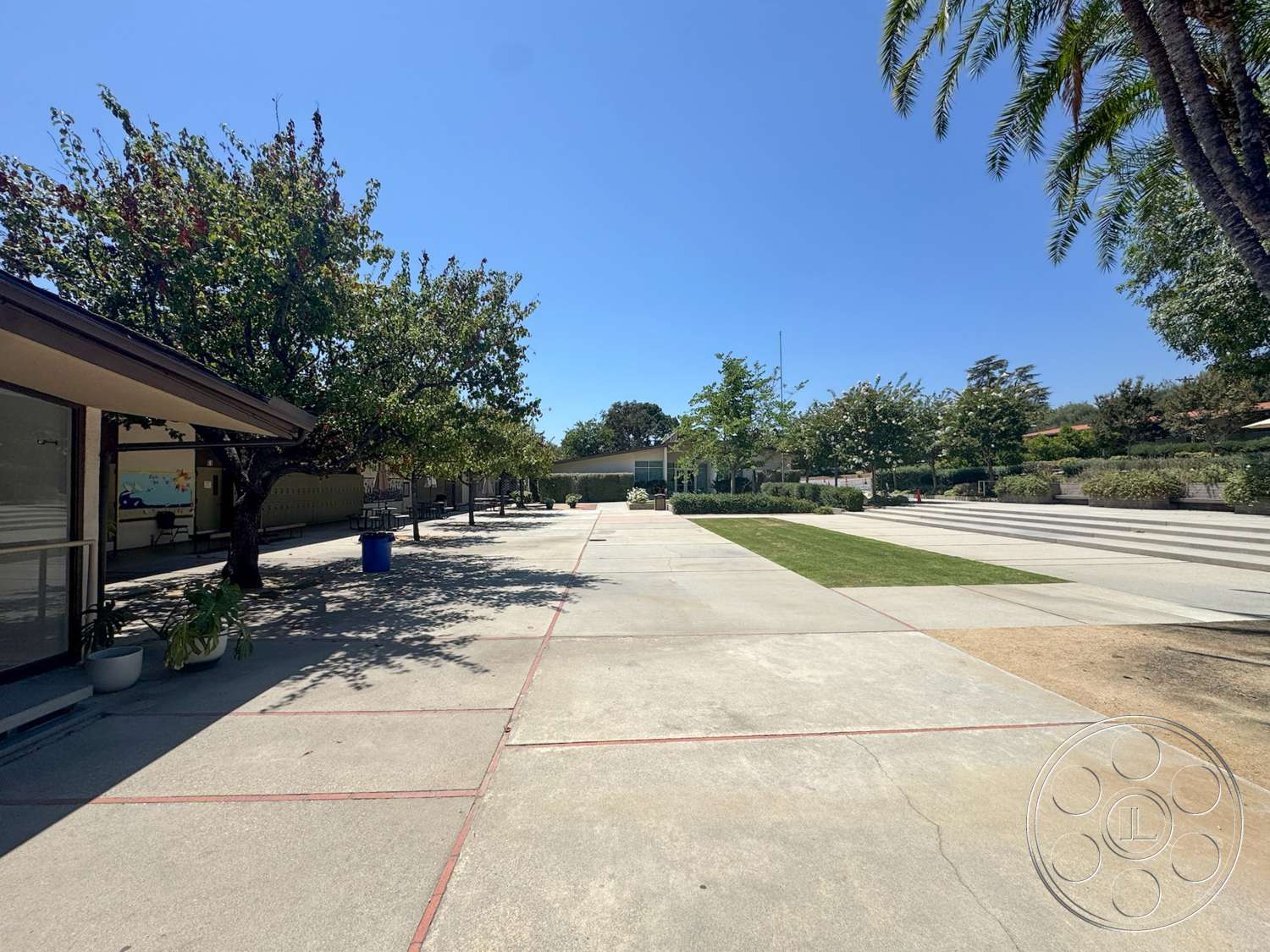 School 20 - exterior, palm trees, large trees, concrete pathways, concrete walkways, urban outdoor space, landscaped garden area, green lawn area, concrete plaza flooring, modern classroom buildings, public school setting