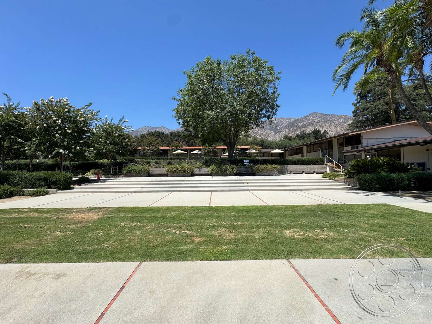 School 20 - exterior, surrounding greenery, mature trees, modern style, concrete steps, planter boxes, mountain view setting, concrete patio flooring, paved walking paths, landscaped grassy area, outdoor seating area with umbrellas, staircase leading to a raised area