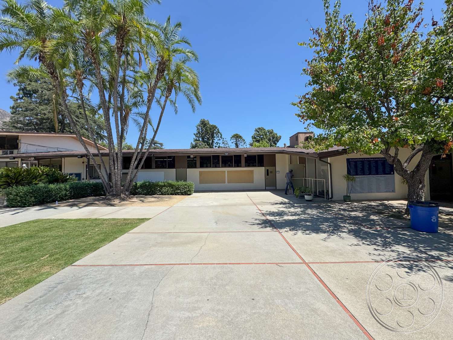 School 20 - exterior, light-colored stucco walls, concrete driveway, green grass lawn, horizontal windows, palm trees in landscape, landscape garden beds, flat-roofed structure, dark wood trim on roof, decorative planter with foliage