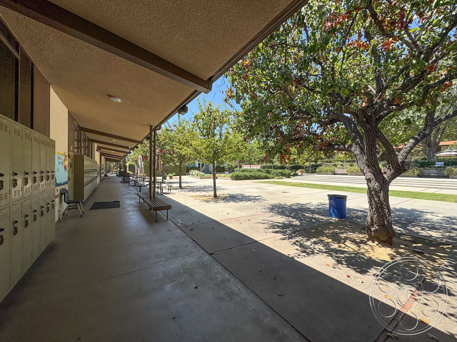School 20 - exterior, concrete walkway, tree line, landscaped garden area, flat roof overhang, metal support beams, blue trash bin, metal school lockers, wooden picnic benches, planted grass areas