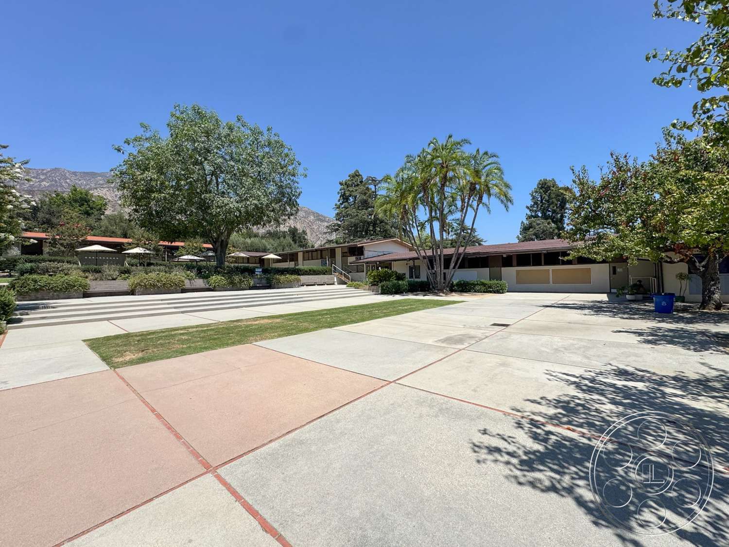 School 20 - exterior, palm trees, outdoor seating area, sloped roof, open courtyard, concrete driveway, mountain backdrop, sun umbrellas, single-story ranch-style home, rectangular patio, landscape vegetation, low stone planter walls, patchy grass lawn