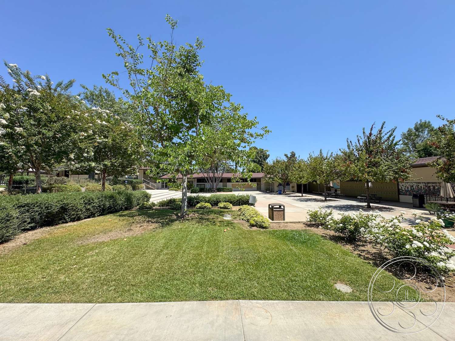 School 20 - concrete walkway, wooden picnic tables, sunny outdoor setting, landscaped garden beds, lush green grass lawn, modern building facade, interior courtyard view, paved courtyard area, decorative shrubs and bushes, exterior tree-lined path