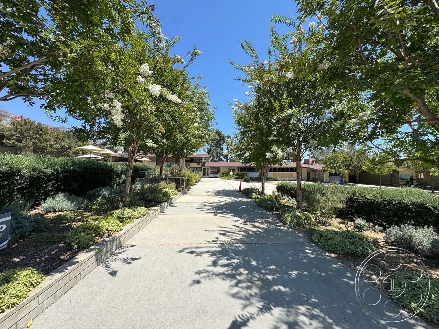 School 20 - exterior, suburban setting, landscaped front yard, paved walkways, concrete driveway, hedge borders, flowering trees, patio umbrellas, plant beds with shrubs