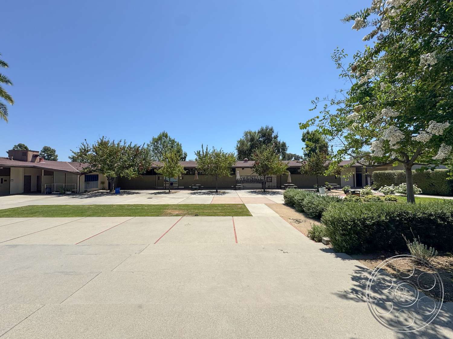 School 20 - exterior, decorative shrubs, open outdoor space, wooden picnic tables, concrete walkways, tree shade, landscaped garden area, flat roof structure, concrete schoolyard pavement, fenced greenery, paved play area