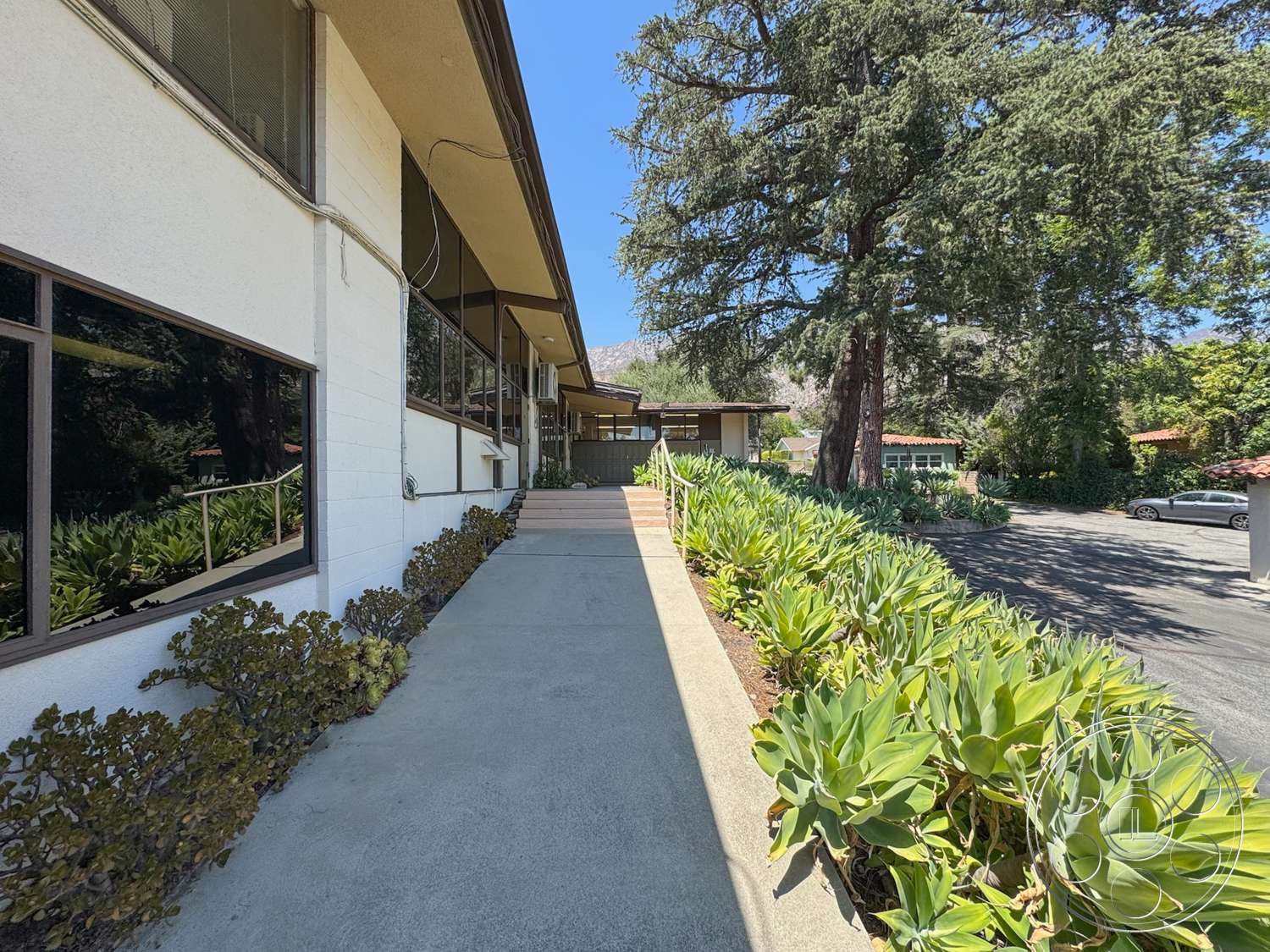School 20 - exterior, paved driveway, white stucco walls, large glass windows, sliding glass doors, surrounding trees, concrete pathway, modern architectural style, succulent plants, flat roof design, landscaped garden beds, brown wood trim