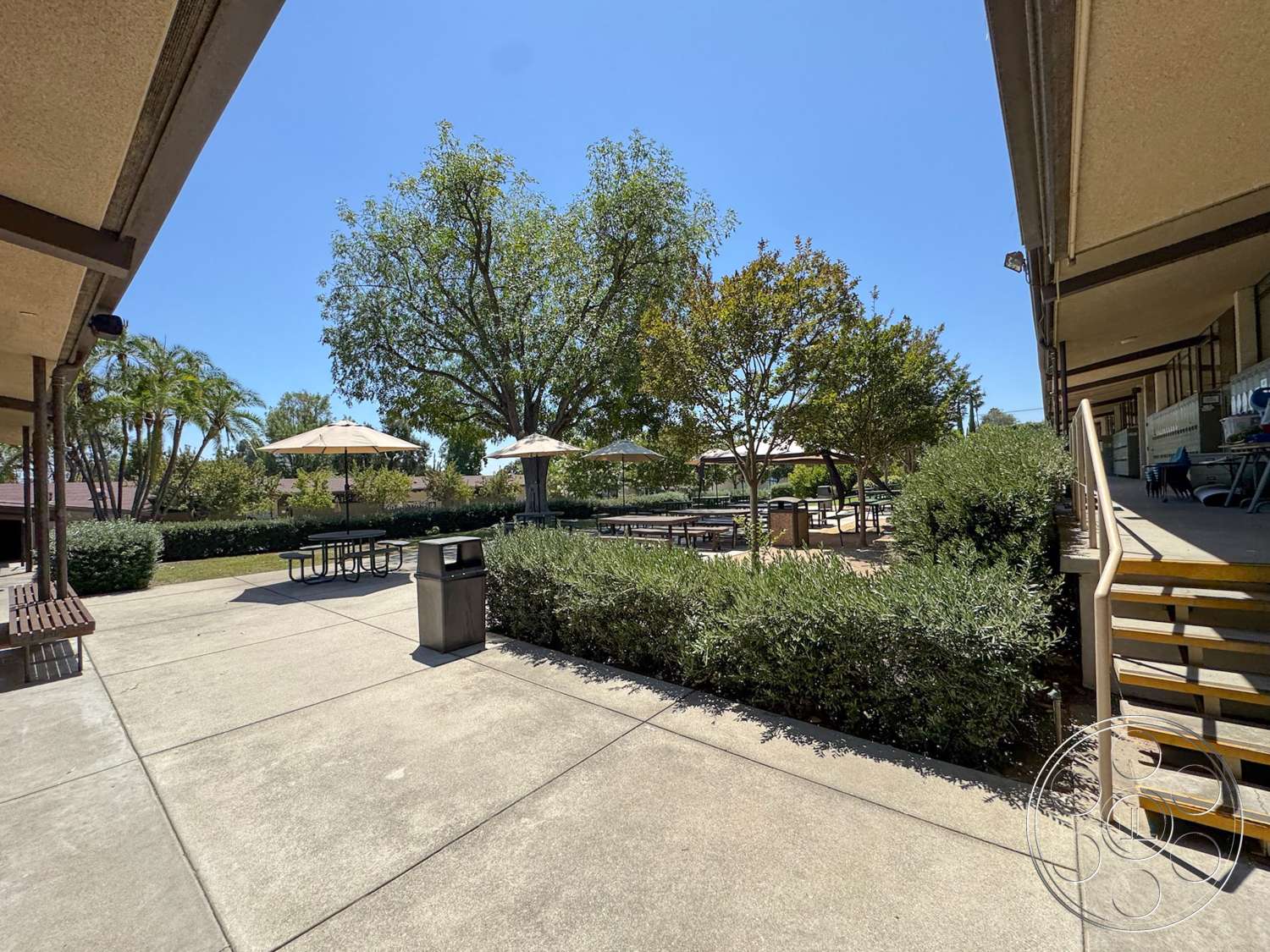 School 20 - exterior, green shrubbery, deciduous trees, wooden benches, two-story building, shade umbrellas, sunny outdoor setting, concrete patio flooring, landscaped garden beds, urban courtyard, sloping rooflines, metal trash can, rectangular picnic tables