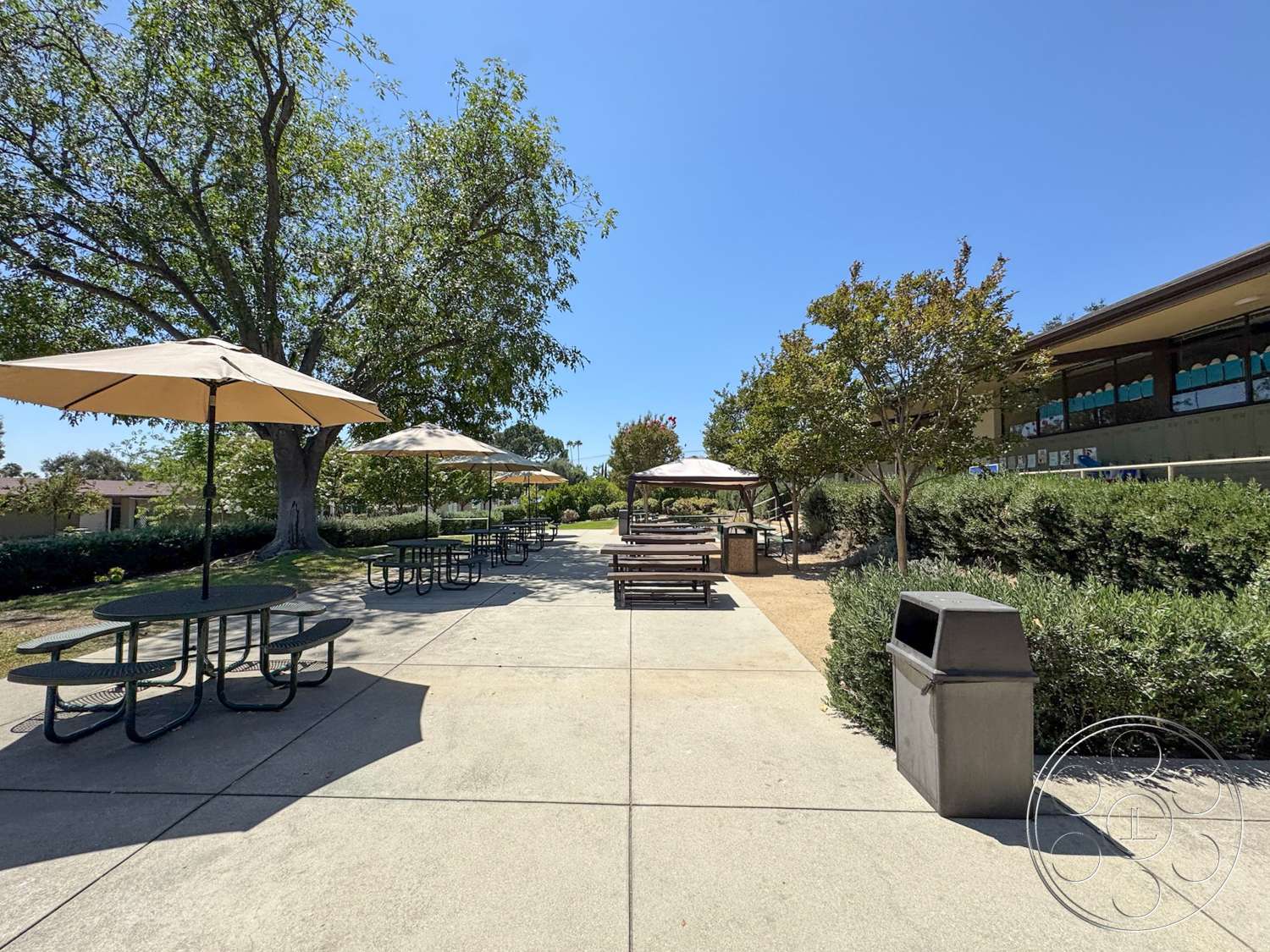 School 20 - exterior, landscaped greenery, concrete walkway, shade trees, wooden benches, canvas umbrellas, sunny day environment, metal picnic tables, trash receptacle, open park setting