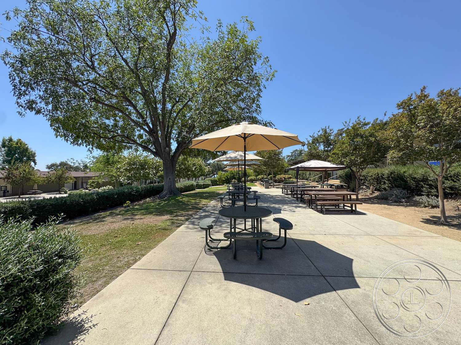 School 20 - exterior, green shrubbery, shade trees, landscaped garden beds, concrete patio floor, open outdoor seating area, urban park environment, metal picnic tables, fabric umbrellas, sunny park setting