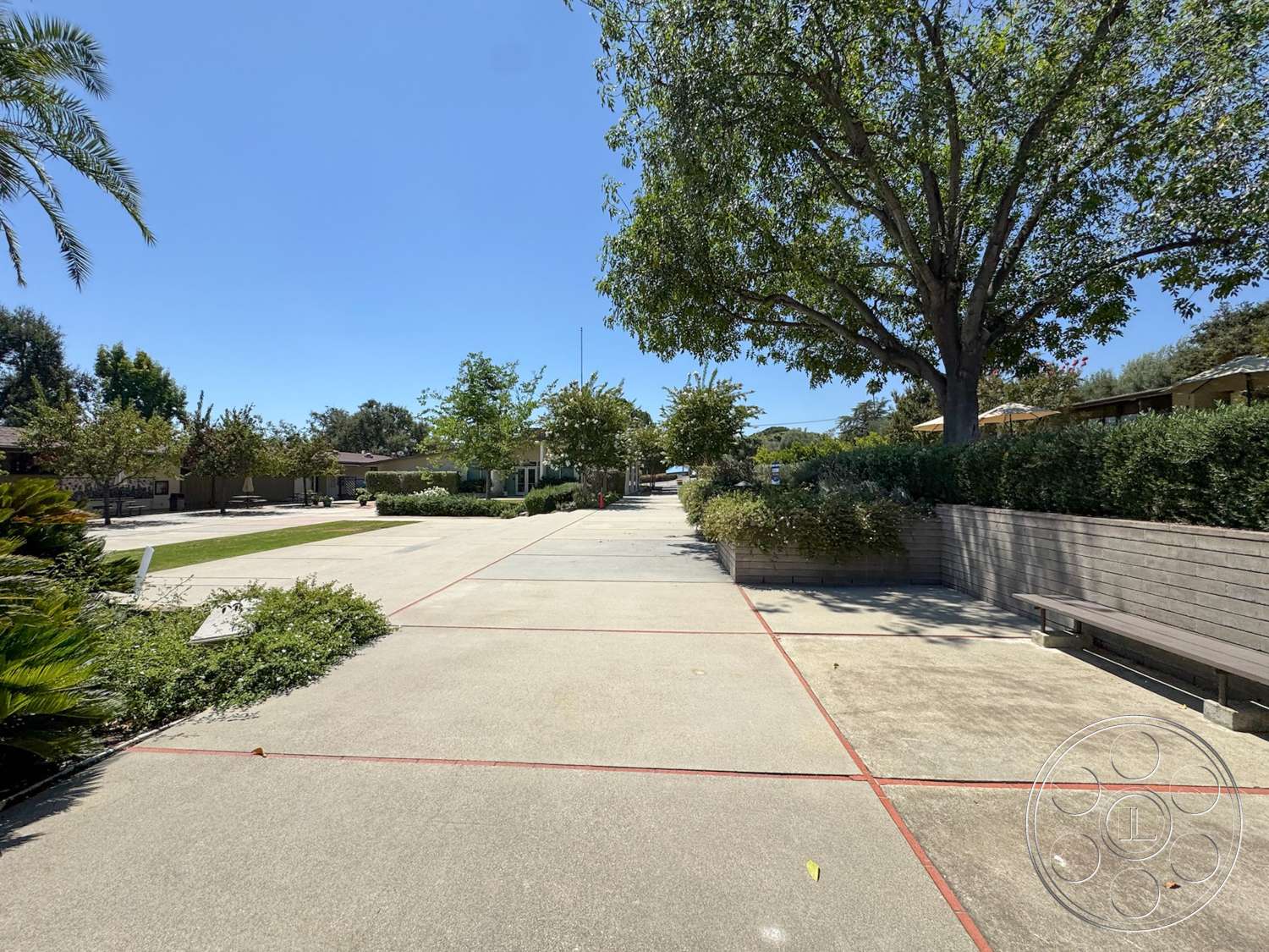 School 20 - exterior, wooden bench, concrete walkway, landscape greenery, suburban environment, well-maintained lawn, concrete edging, open sky view, rectangular paved path, planter with shrubs, decorative tree canopies