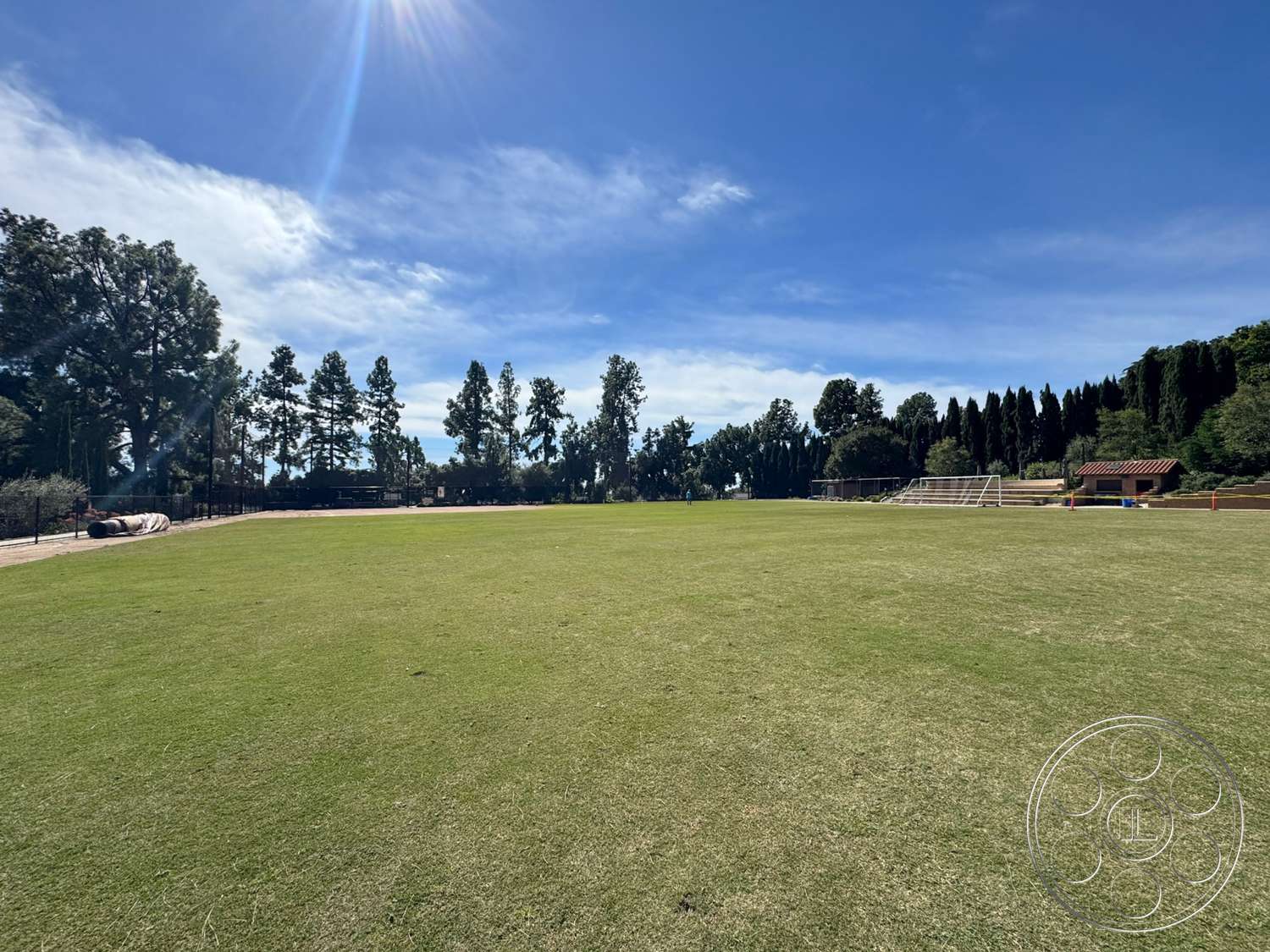 School 20 - exterior, lush green lawn, clear blue sky, tall evergreen trees, landscaped garden setting, surrounding pine trees, sunny outdoor field, soccer goal area, well-maintained grass area