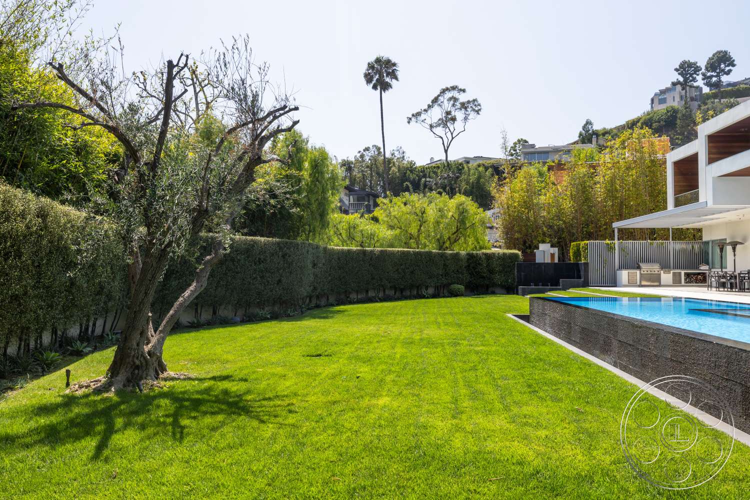 Modern 14 - exterior, rectangular swimming pool, lush green lawn, tall hedges, concrete pool border, modern hillside home, sunny backyard setting, surrounding hillside vegetation, wooden patio dining area, garden with olive tree