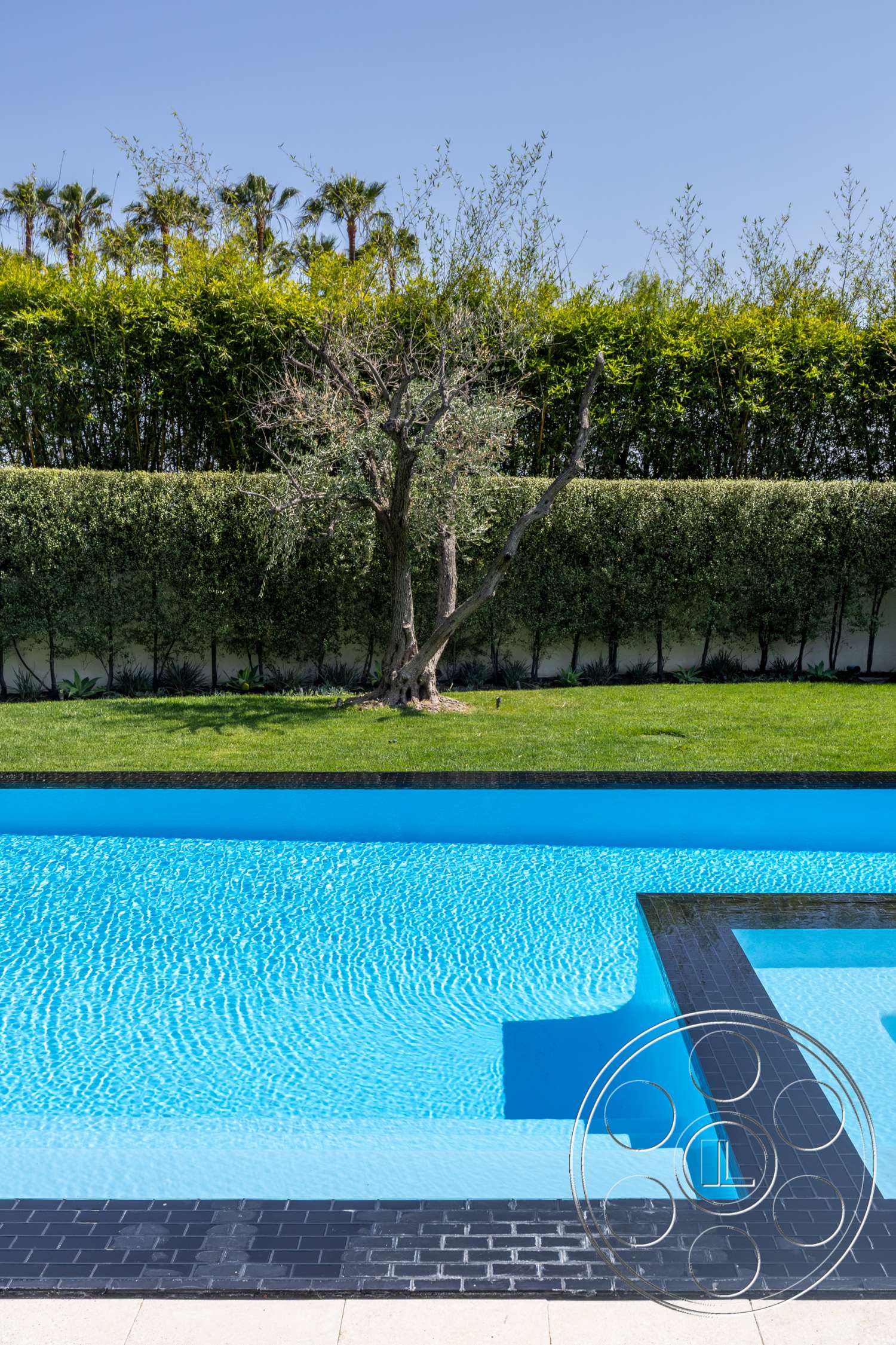 Modern 14 - exterior, grass lawn, infinity pool, concrete pool deck, landscape trees, blue pool water, sunny outdoor setting, black tile pool border, dense hedge