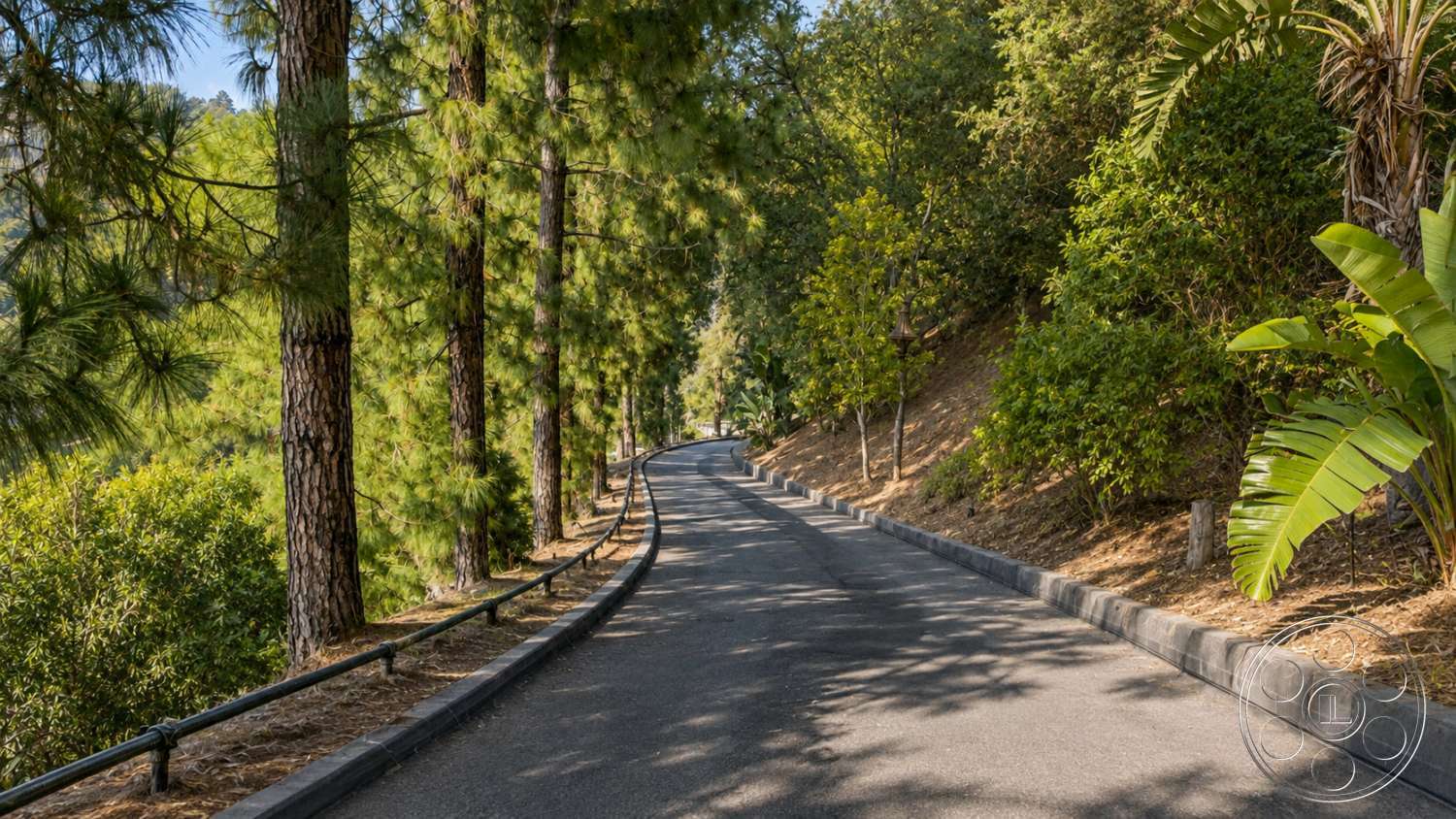 Modern 527 - lush greenery, natural landscape, curved driveway, asphalt driveway, outdoor setting, hillside location, pine trees, tree-lined pathway
