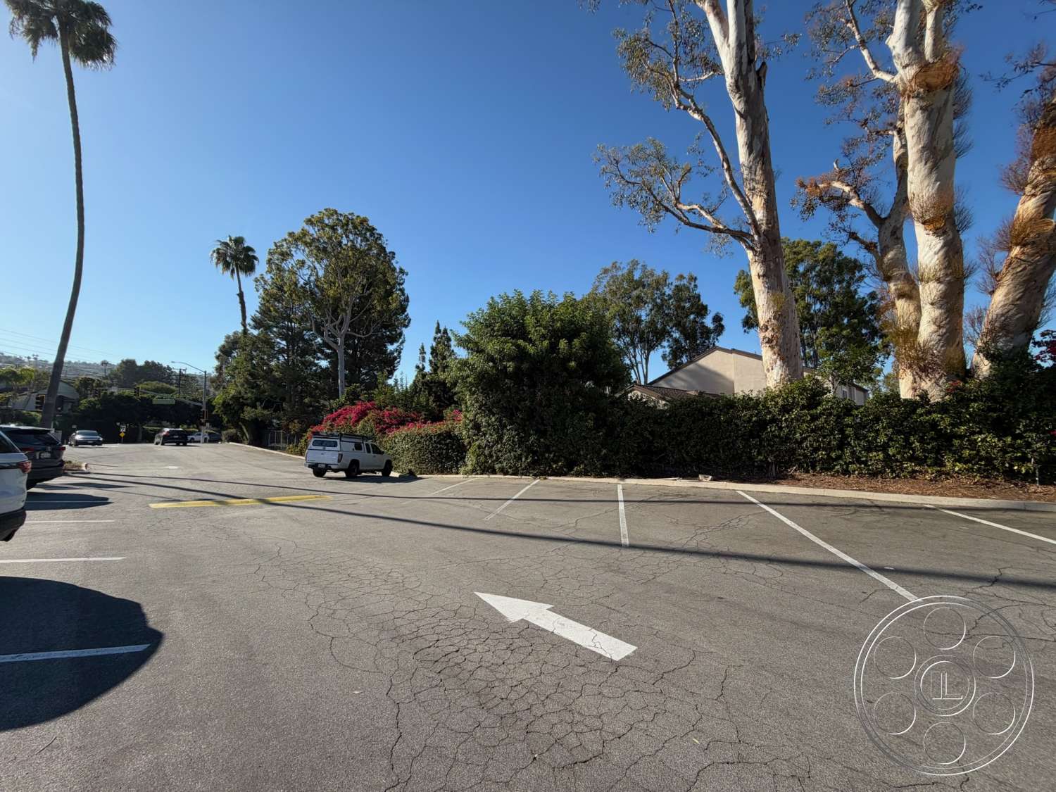 Community Center - palm trees, urban environment, clear blue sky, deciduous trees, hedge landscaping, asphalt parking lot, sunny exterior, blooming shrubs, cracked asphalt surface