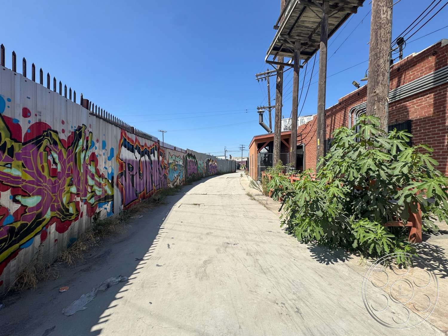 Warehouse 62 - exterior, landscaped greenery, concrete pathway, blue sky, urban alley setting, brick building wall, wooden utility poles, graffiti-covered metal fence, electrical wiring