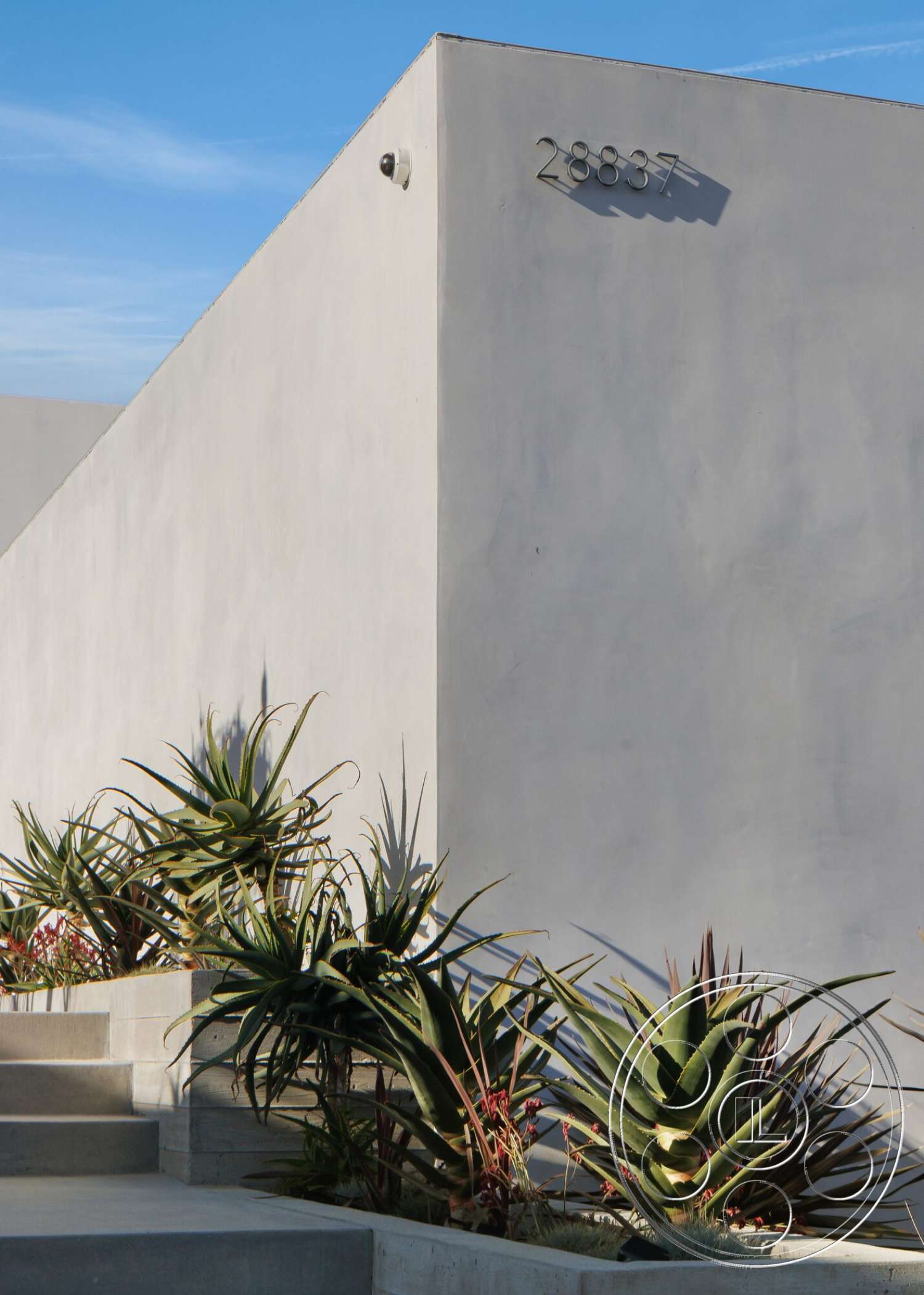 Modern 529 - exterior, concrete steps, modern architectural style, smooth concrete wall, clear blue sky setting, angular building shape, planted landscape with succulents, contemporary house number