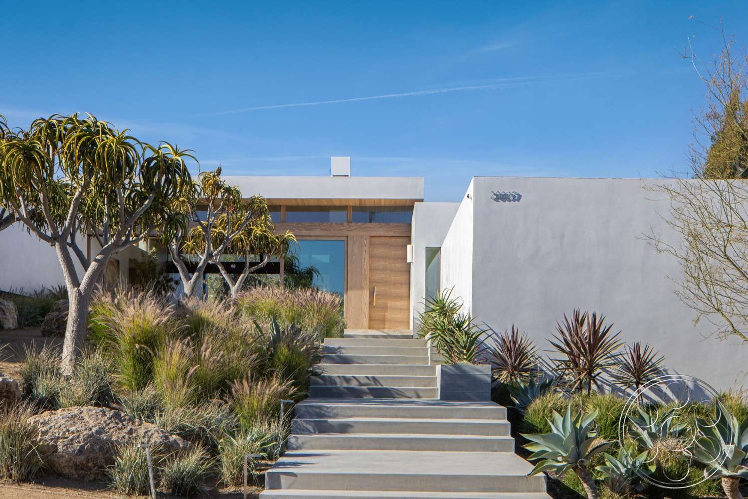 Modern 529 - exterior, concrete steps, modern architectural style, clear blue sky, desert plants, wood front door, landscaped garden area, stucco exterior walls