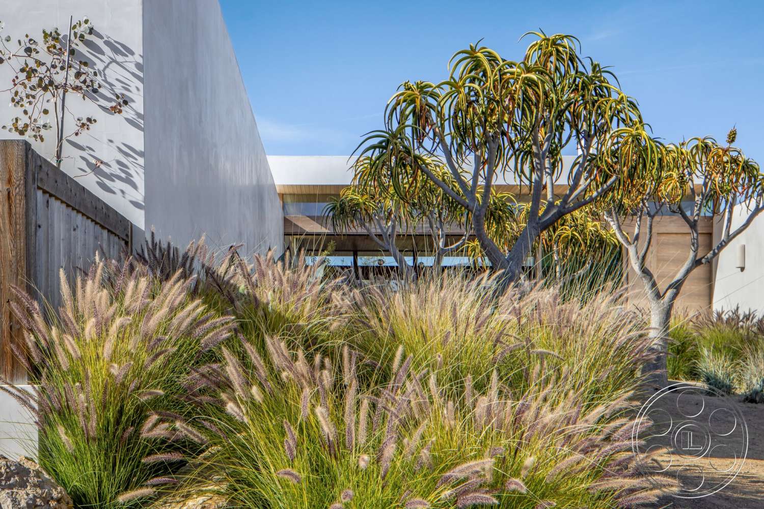 Modern 529 - exterior, minimalist design elements, modern architectural style, clear blue sky, desert landscaping, wooden fence, natural stone pathway, sunny outdoor setting, smooth stucco walls, ornamental grass plantings, decorative tree with yellow-green leaves