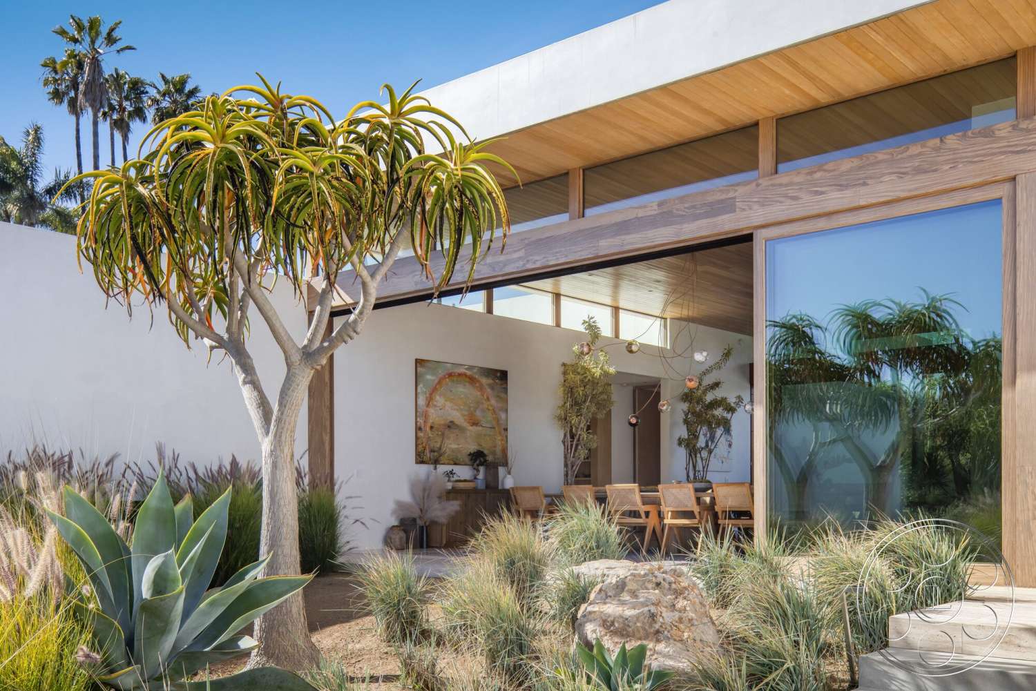 Modern 529 - exterior, large glass windows, outdoor seating area, desert landscape, flat roof design, stucco wall finish, minimalist architectural style, native plants landscaping, modern outdoor patio, concrete steps leading to entrance, wooden ceiling panels, wooden framed glass door, accent artwork on wall, tropical tree in foreground