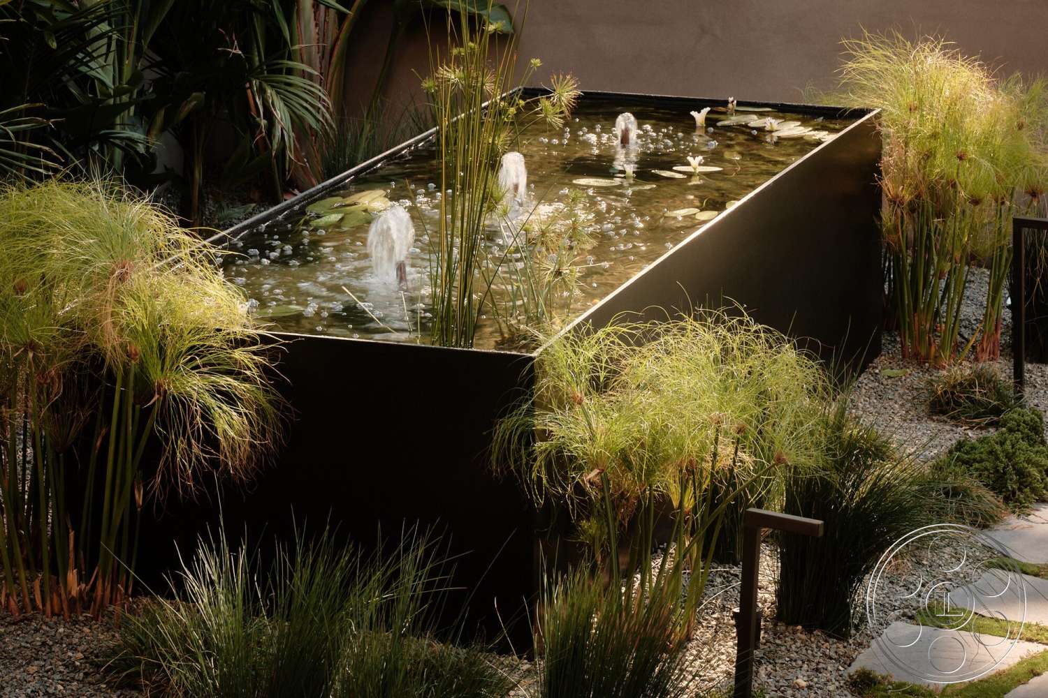 Modern 530 - exterior, contemporary outdoor space, ornamental grasses, rectangular water feature, natural stone gravel pathway, low-maintenance landscape design, black metal water basin, textured green plantings, water lilies in pond, fountains creating water bursts