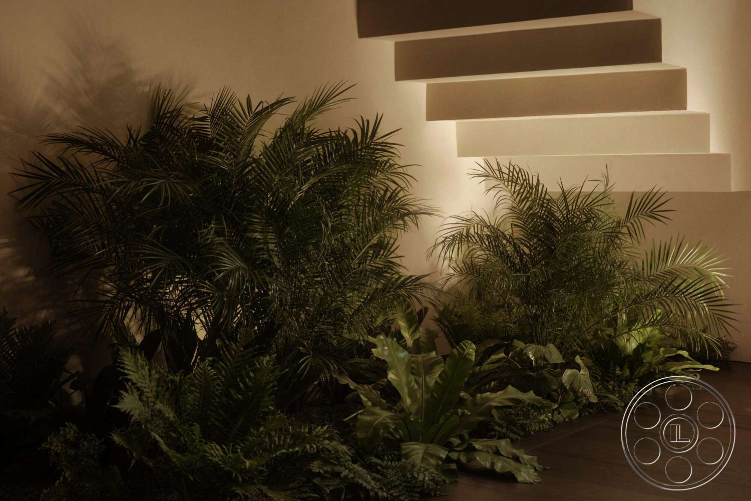 Modern 530 - lush greenery, ambient lighting, tropical plants, wood floor, textured wall treatment, stucco wall, floating stairs