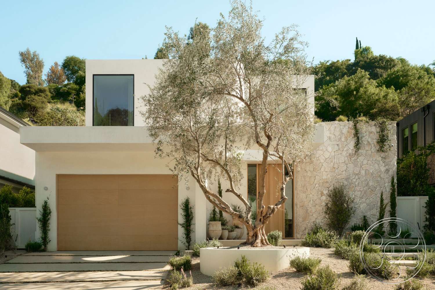 Modern 531 - exterior, white stucco walls, flat roof, olive tree, mountain backdrop, desert landscaping, smooth concrete driveway, curved garden path, large rectangular windows, natural stone feature wall, wood garage door