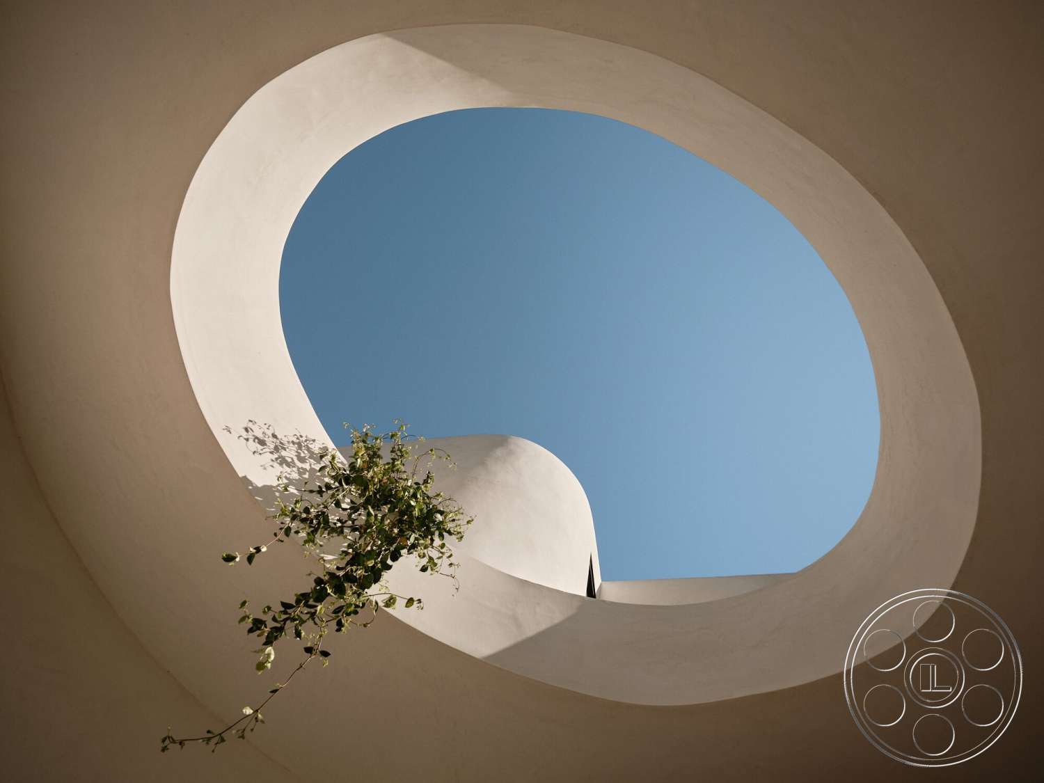 Modern 531 - natural vegetation, plaster wall finish, circular skylight, smooth rounded shapes, bright blue sky view, curved architectural lines