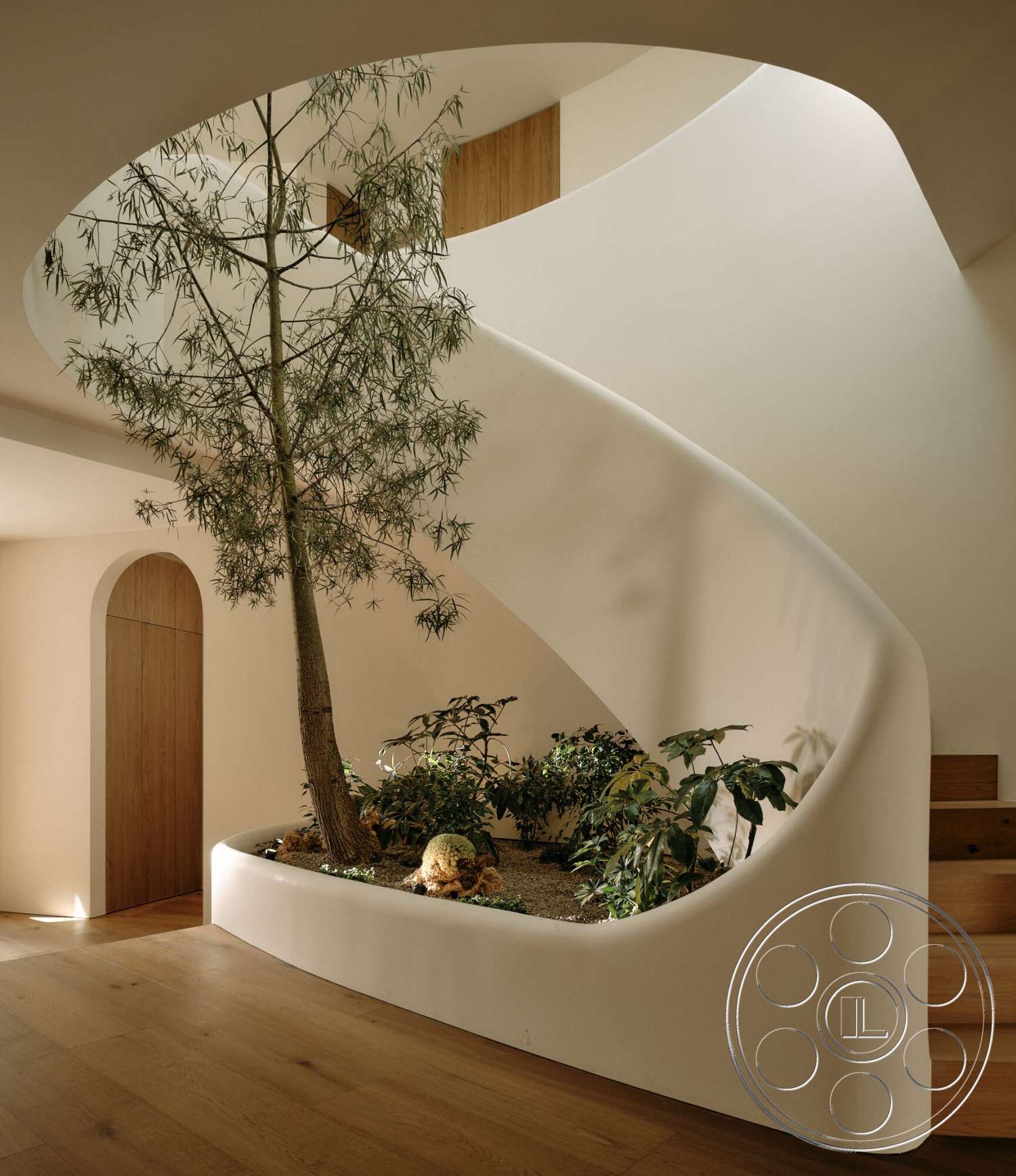Modern 531 - natural light, minimalist design, light wood flooring, organic shapes, arched entrance, curved staircase, indoor tree feature, smooth white plaster walls, wood accent door, built-in planter box, lush greenery plants
