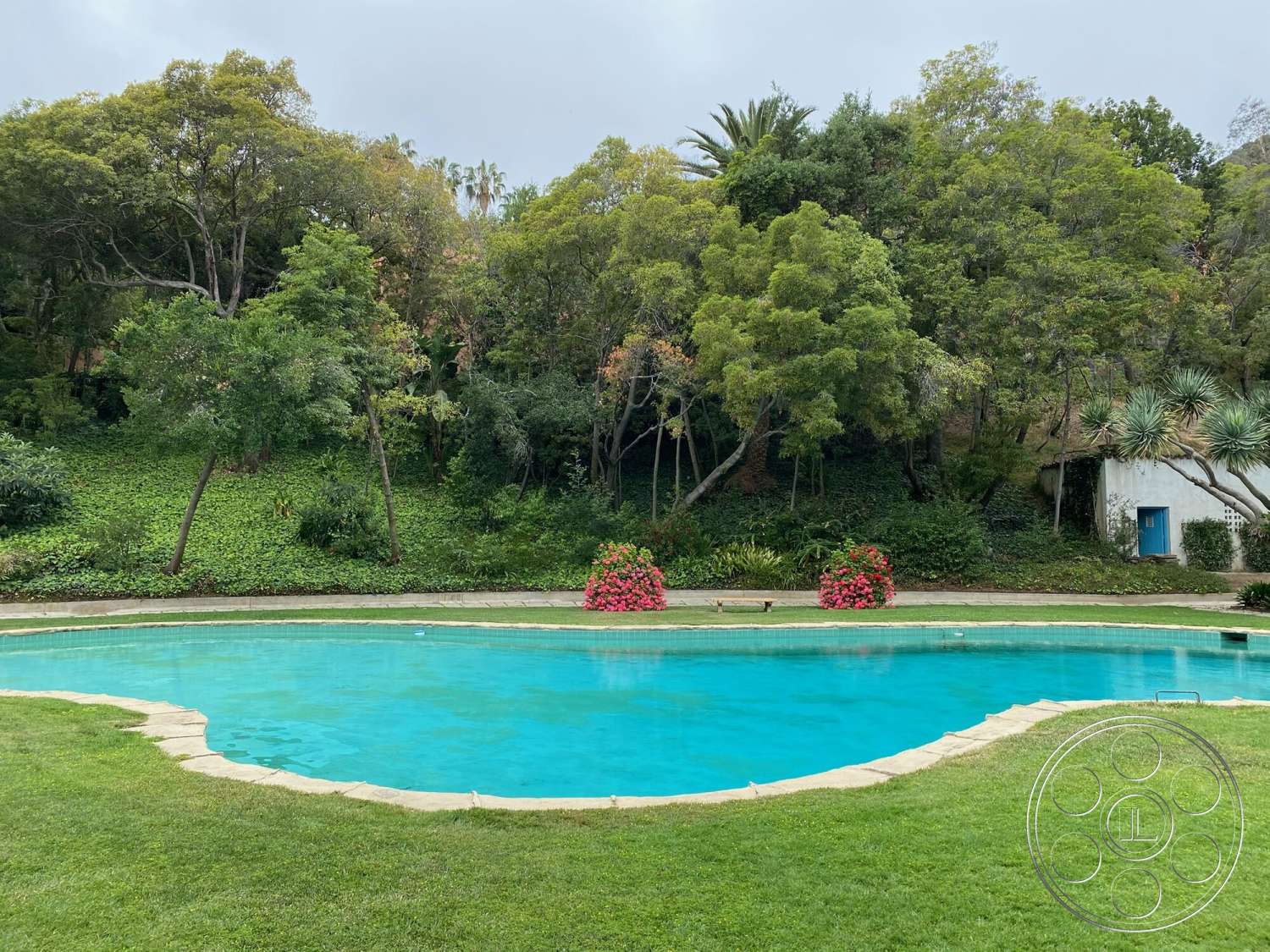 The Hearst House - exterior, natural vegetation, surrounding hillside, grass lawn, flowering plants, tropical trees, lush green landscaping, oval pool, stone pool border, blue garden shed
