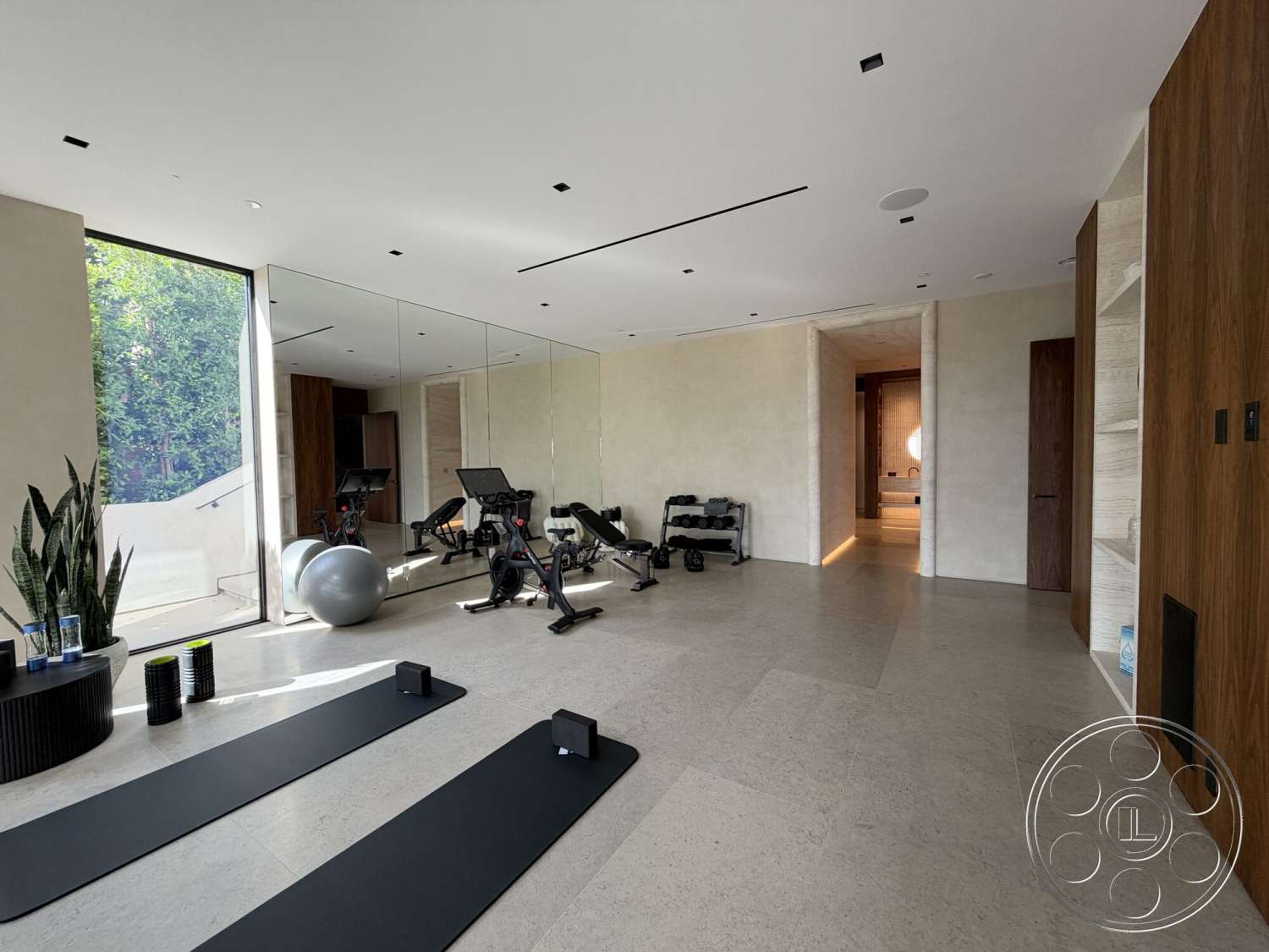 Modern 532 - stone flooring, mirrored wall, textured plaster walls, natural light from windows, glass wall, potted indoor plants, exposed wood cabinetry, interior fitness room, dark wooden door, modern gym equipment, black rubber exercise mats
