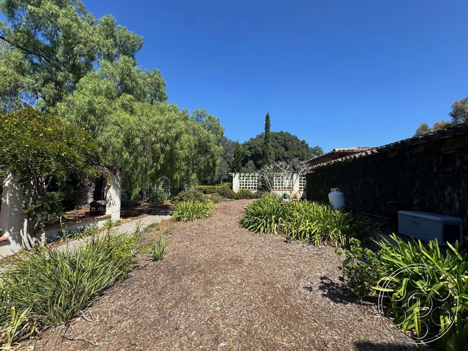Farmstead Garden - exterior, outdoor seating area, stone pathway, wooden bench seating, tall trees, mulch ground cover, sunny outdoor setting, landscaped garden area, lush green shrubs, pergola structure, fenced garden perimeter, trellis structure, desert climate vegetation