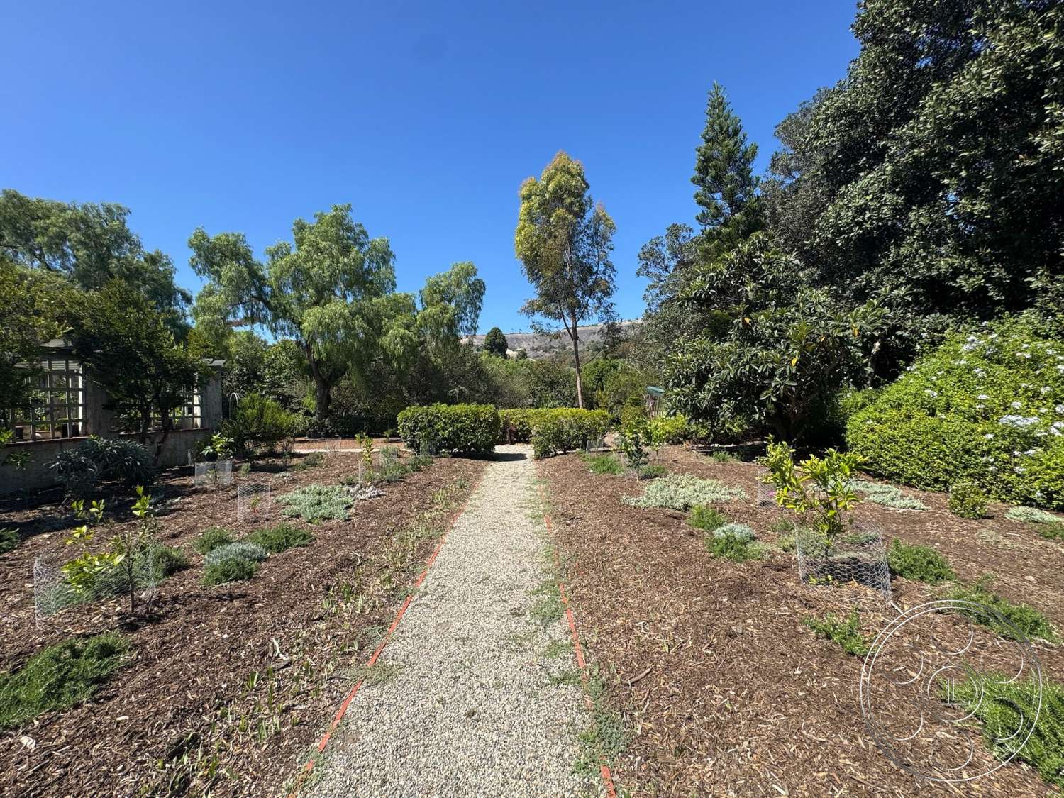 Farmstead Garden - gravel pathway, clear blue sky, lush trees, landscaped garden area, flowering shrubbery, sunlit outdoor area, suburban garden setting, metal garden fencing, mulch garden beds, vegetation surrounding pathway