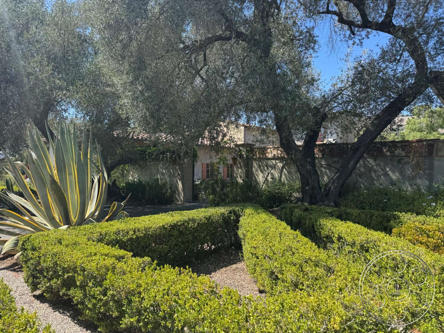 Farmstead Garden - exterior, gravel pathway, terracotta roof tiles, succulent plants, olive trees, hedge landscaping, rectangular garden layout, stone garden wall, mediterranean style architecture, earth-toned stucco walls
