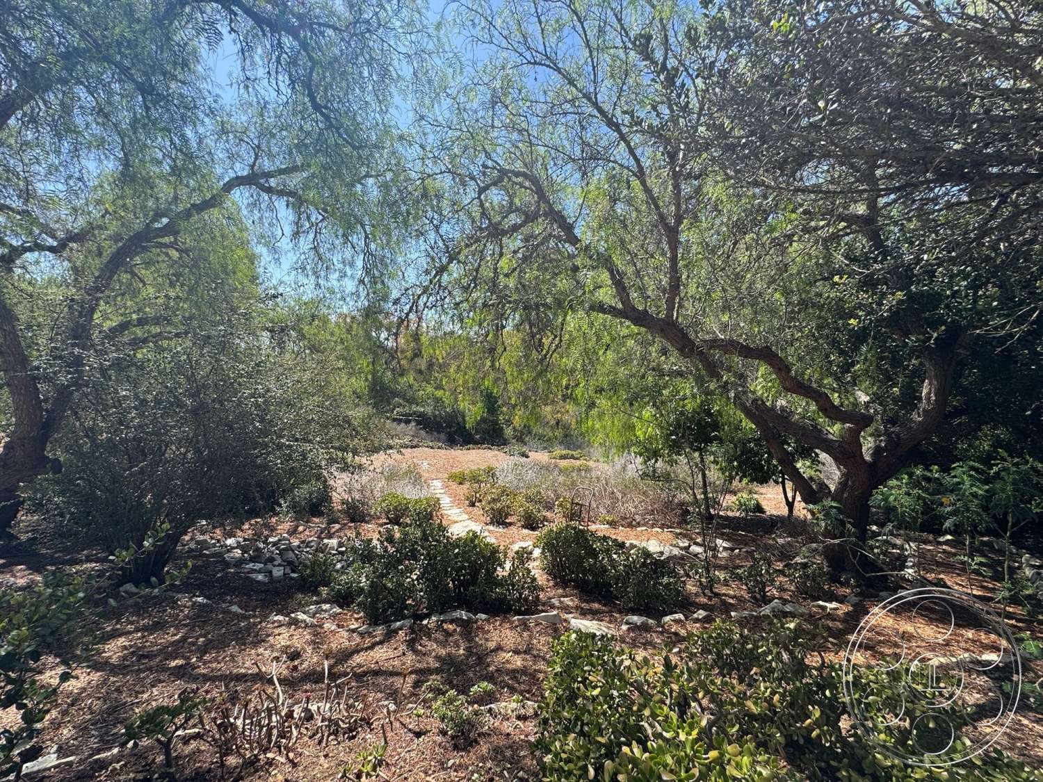 Farmstead Garden - exterior, flowering shrubs, garden setting, natural stone pathway, wood mulch landscaping, lush green foliage, scattered boulders, branching tree canopy, dried grass patches, meandering path