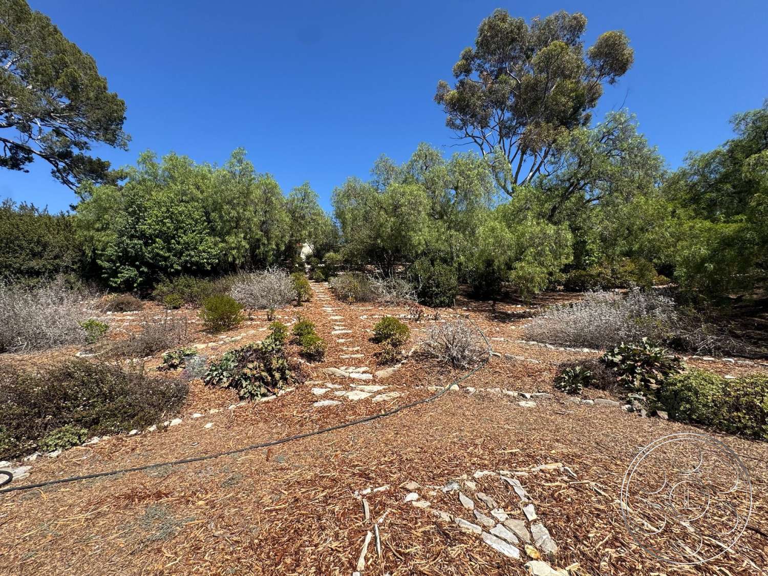 Farmstead Garden - exterior, native plants, blue sky, natural stone pathway, rocky terrain, wildflowers, sparse vegetation, mulched garden beds, leafy shrubs, cobblestone border, wooded landscape, sunny clearing, irregularly shaped garden layout