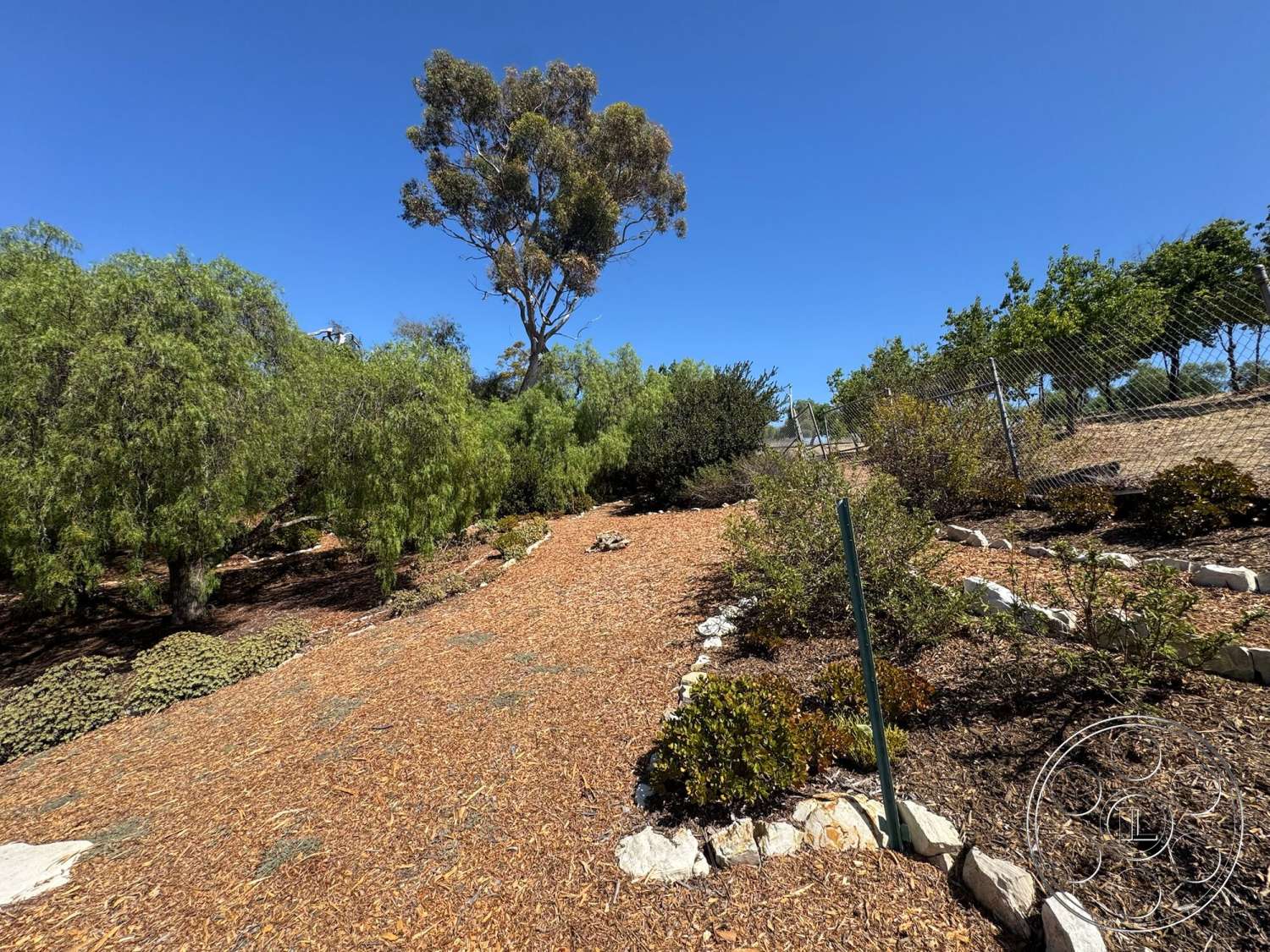 Farmstead Garden - green shrubbery, deciduous trees, chain link fence, drought-resistant plants, natural landscape setting, sunlit outdoor area, rock border landscaping, exterior garden environment, wood chip pathway, native vegetation garden