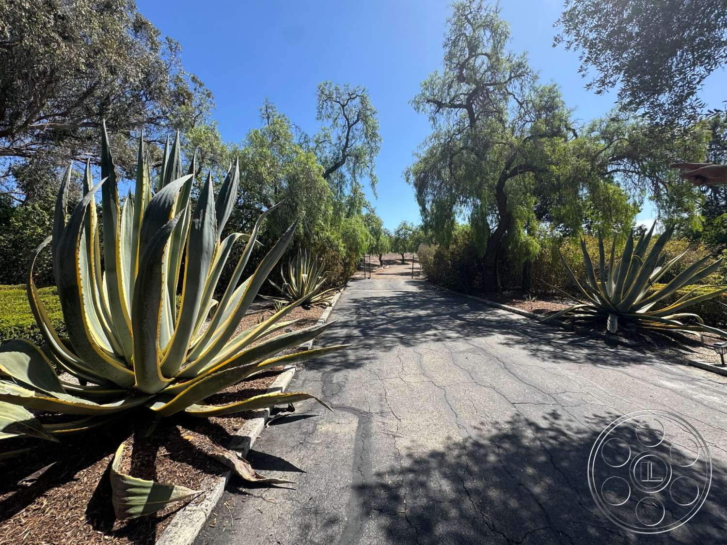Farmstead Garden - asphalt driveway, agave plants, landscape greenery, front entrance, walkway lighting, leafy trees, sunny weather, exterior setting