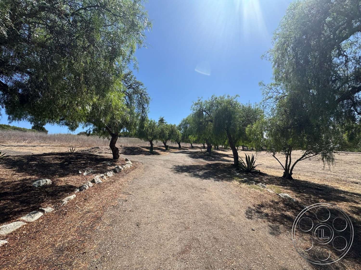 Farmstead Garden - open space, dirt path, surrounding trees, outdoor setting, rural environment, landscaped pathway, rock border, natural foliage, sunlit clear sky