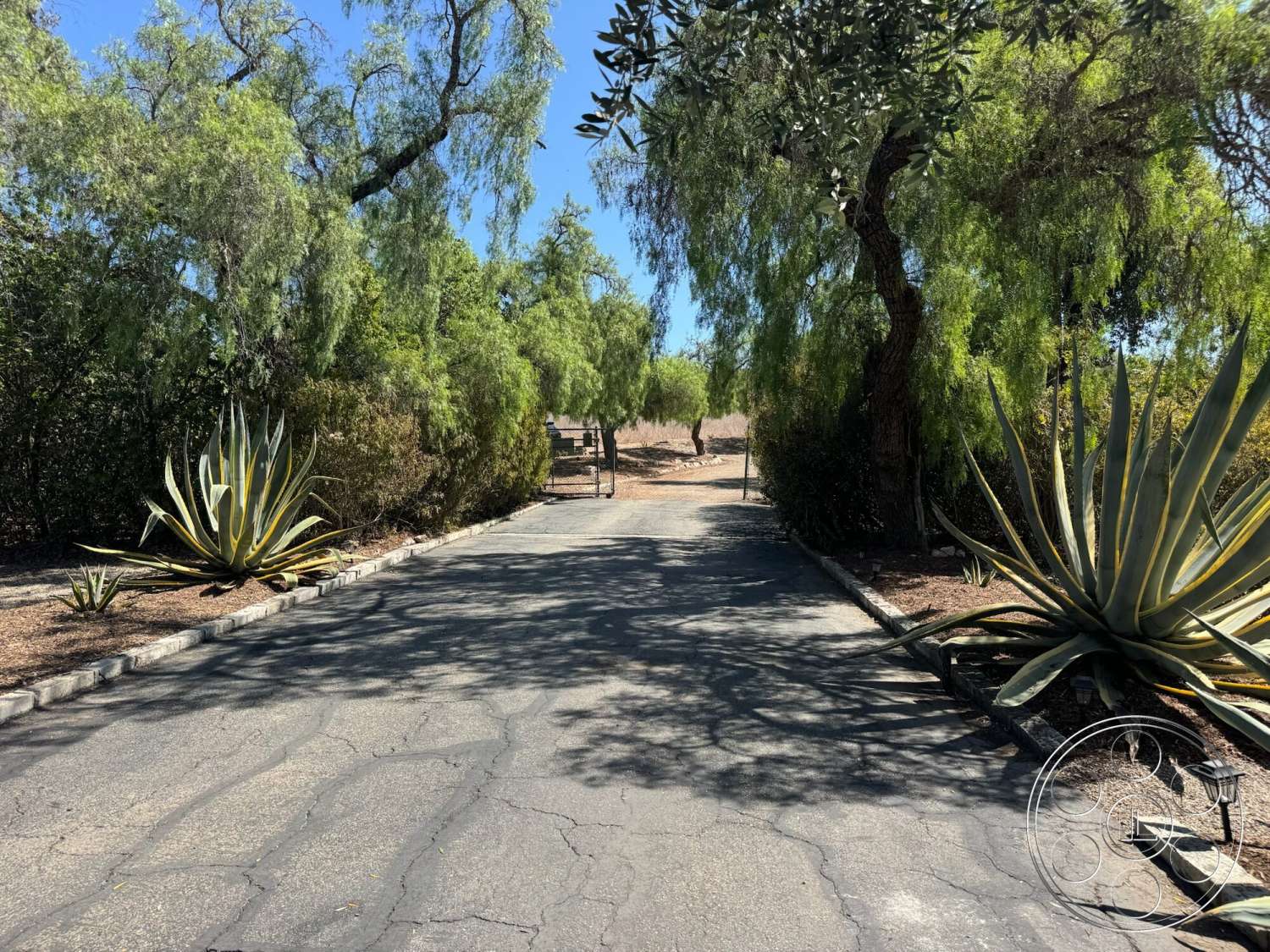 Farmstead Garden - exterior, asphalt driveway, agave plants, ambient lighting fixtures, surrounding landscaping with manicured shrubs, pathway bordered by stone edging, tree canopy providing shade, natural desert setting