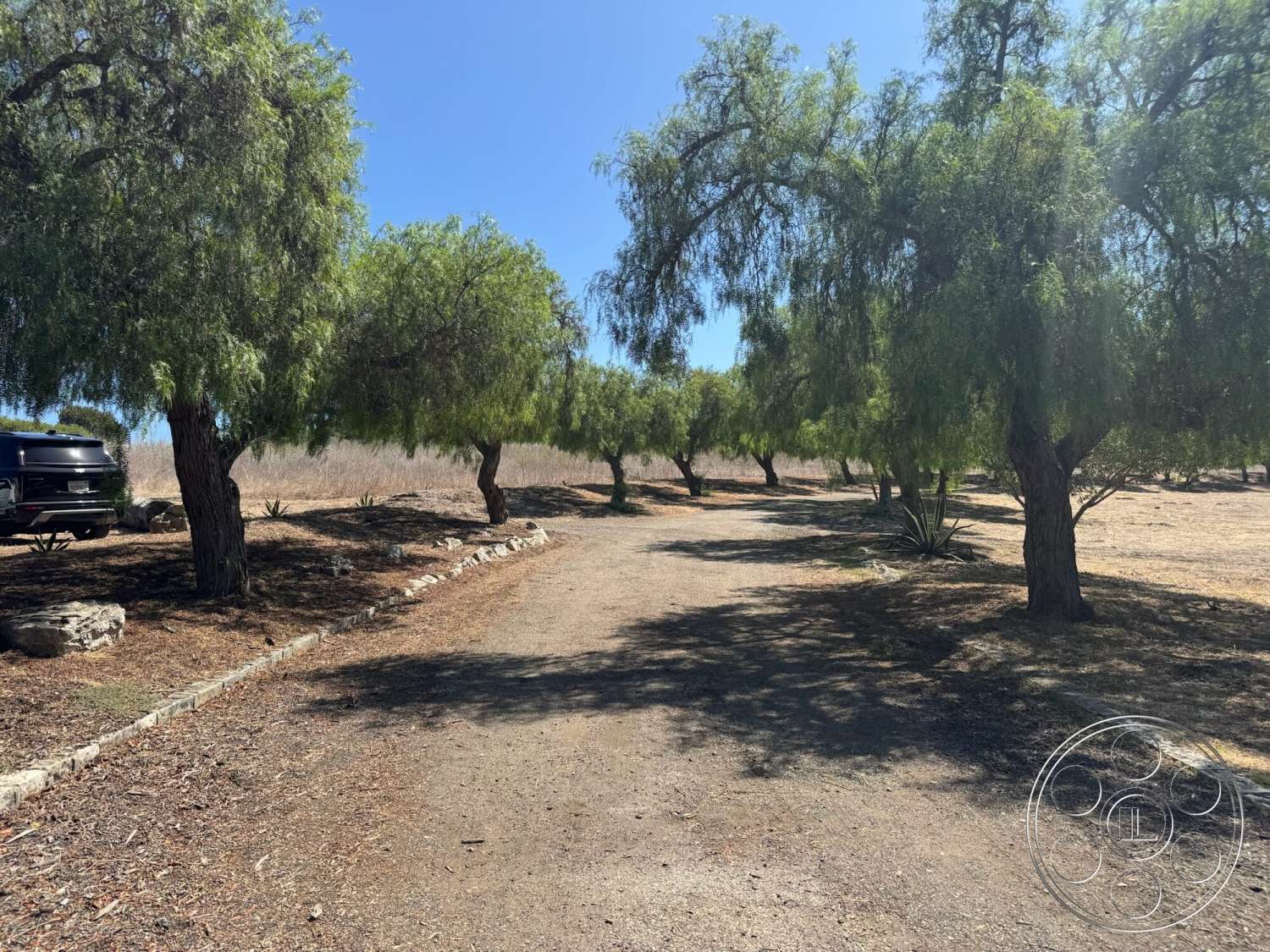 Farmstead Garden - exterior, landscaped area, dirt path, gravel driveway, canopy of trees, native grass, naturalistic setting, sun-dappled light